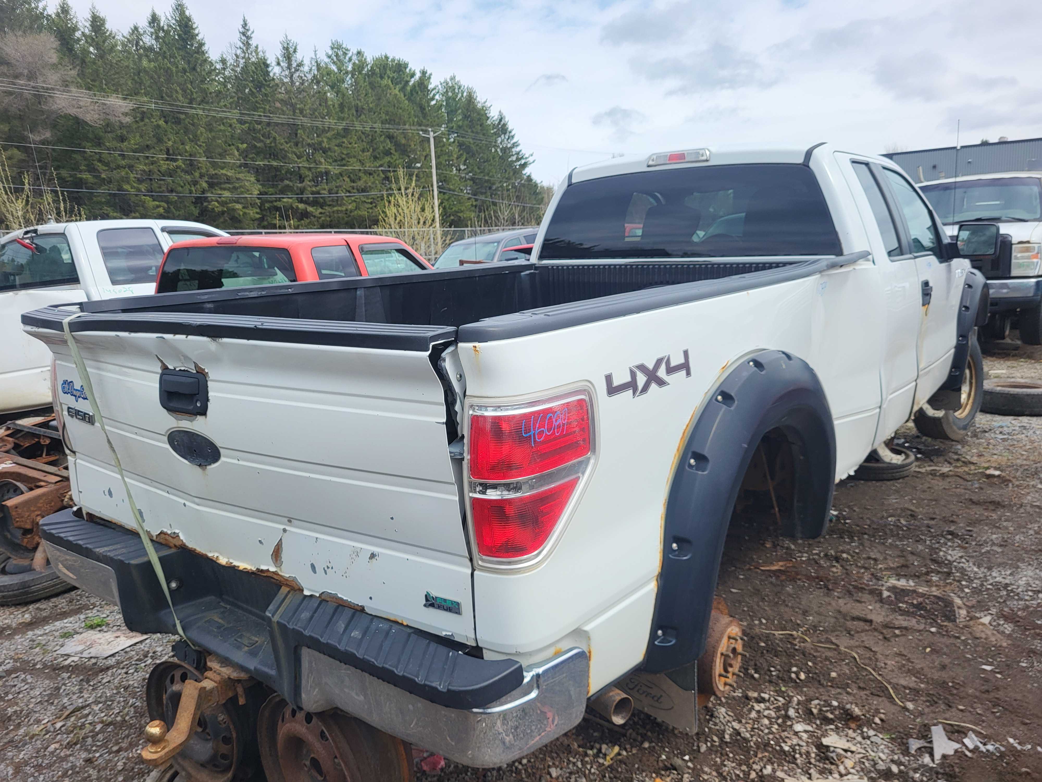 FORD F-150 2010