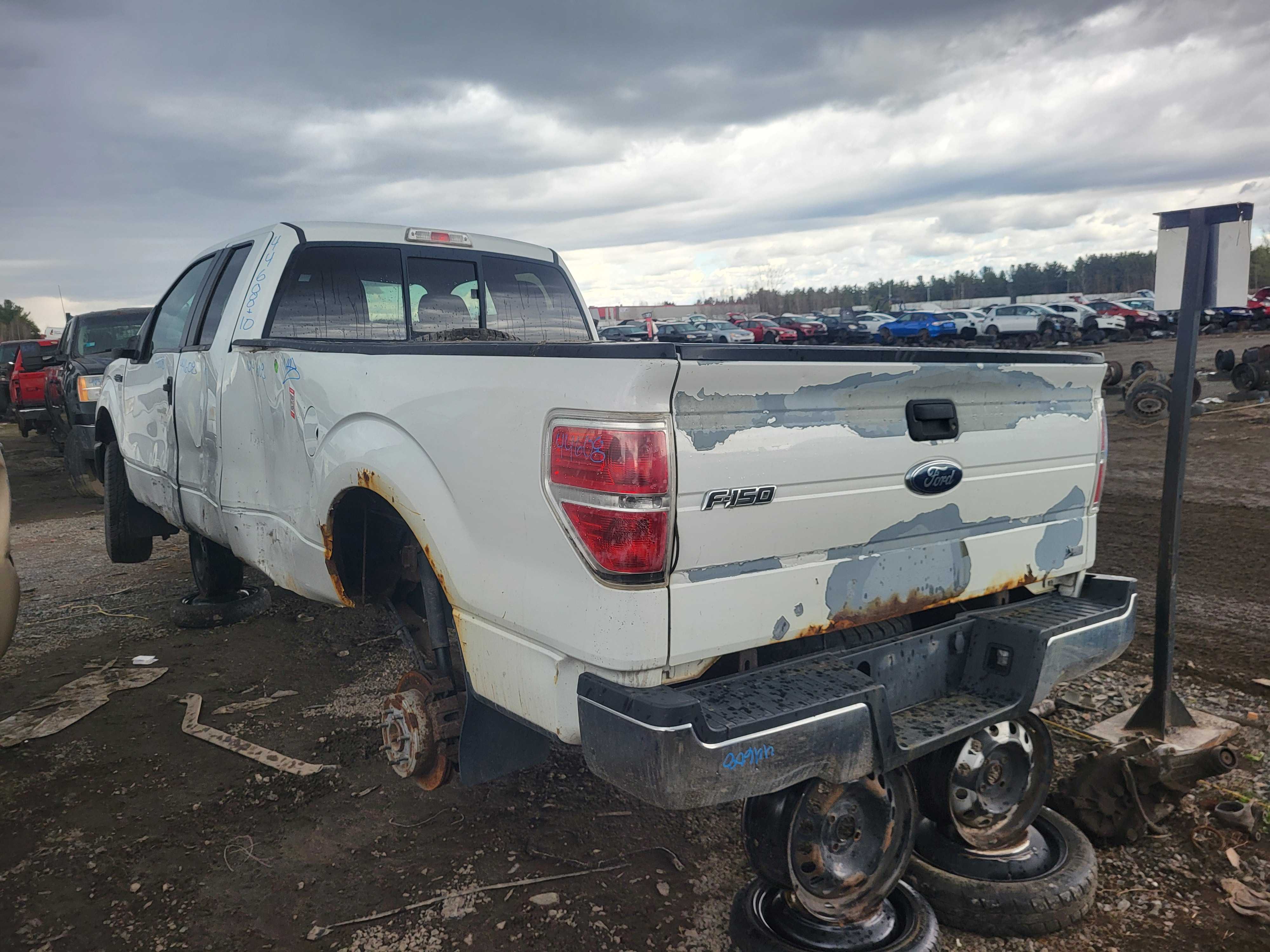 FORD F-150 2010