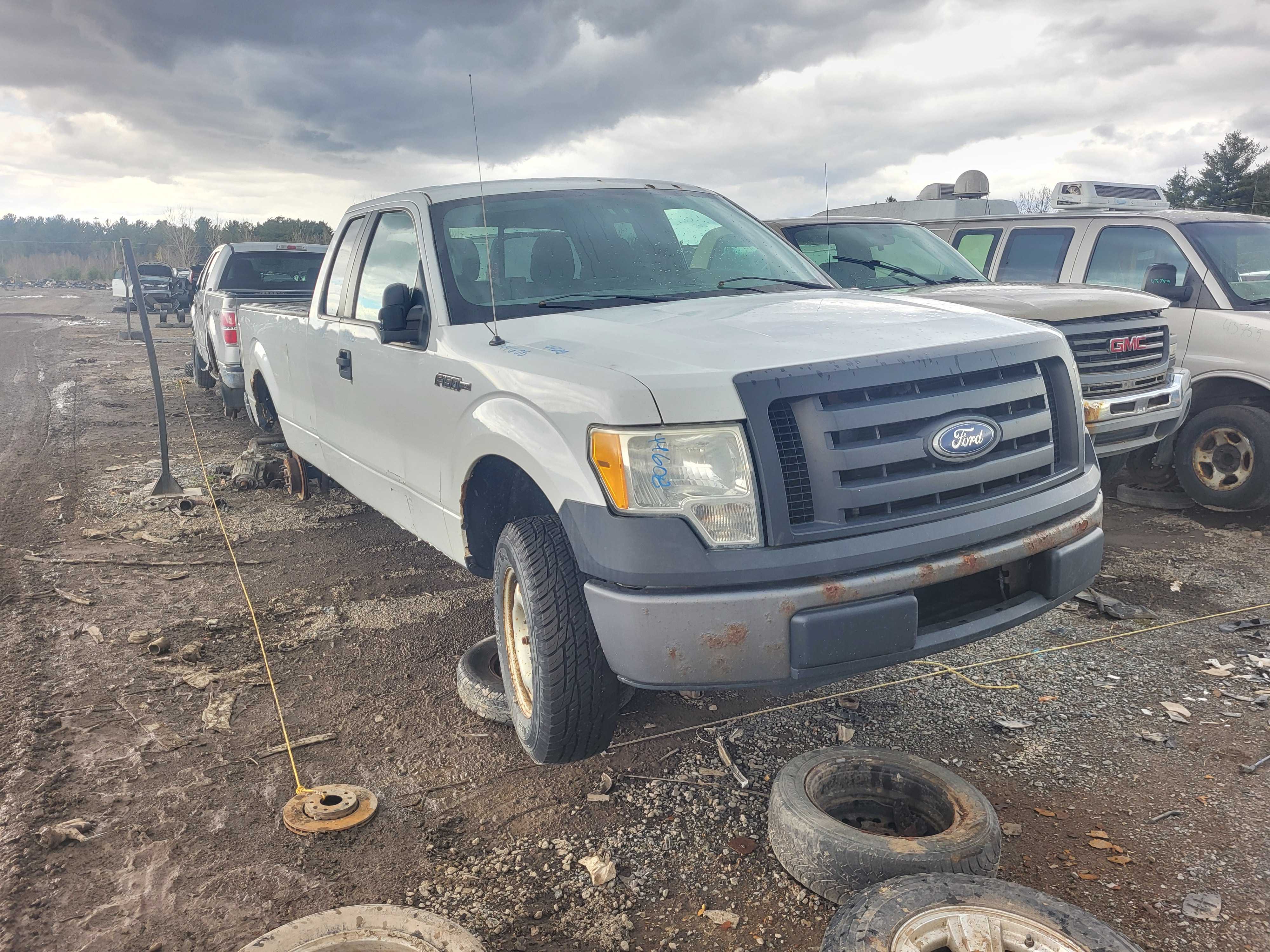 FORD F-150 2010