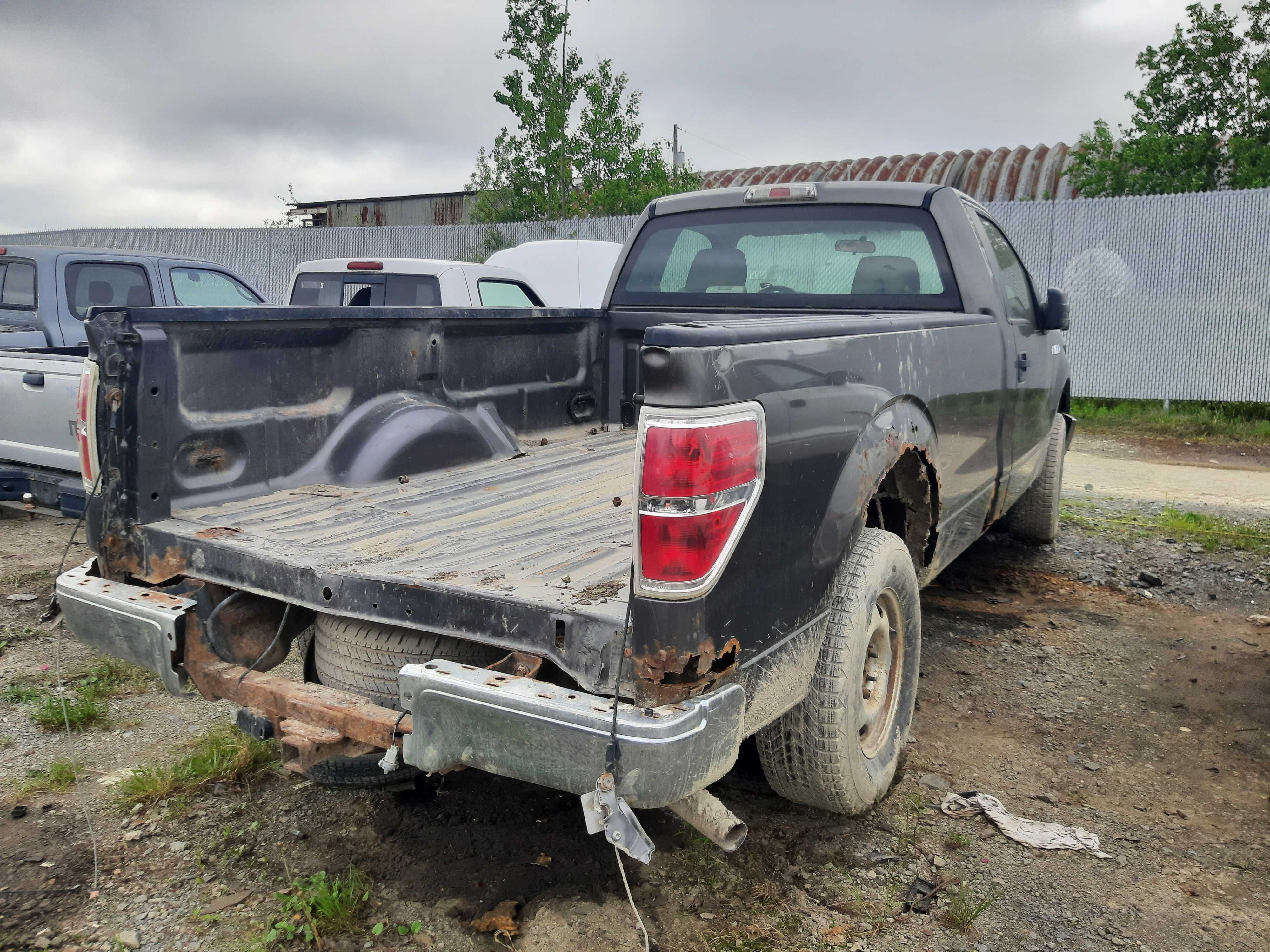 FORD F-150 2010