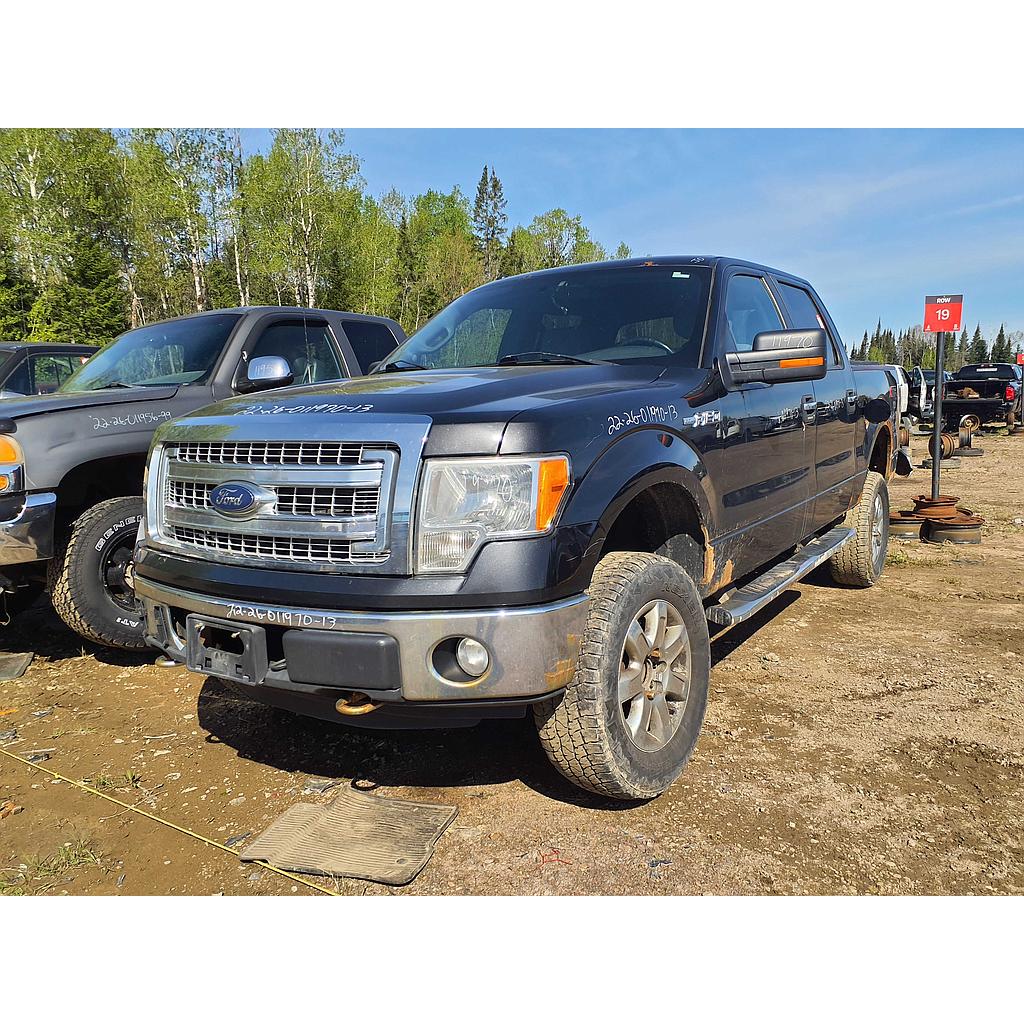 FORD F-150 2013