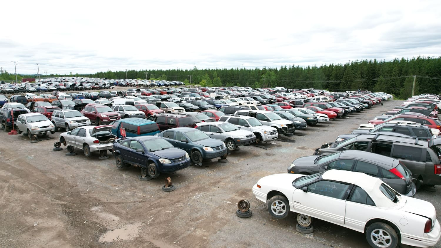 Salvage Yard in Canada, rows of scrap cars