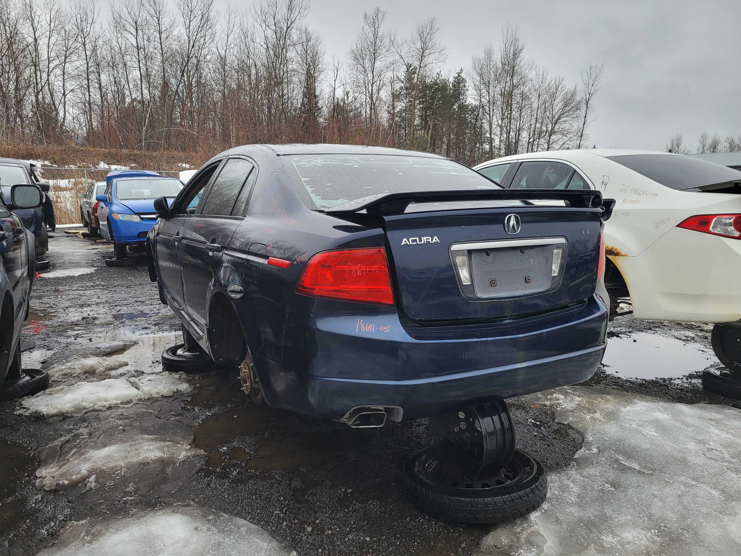 ACURA TL 2005