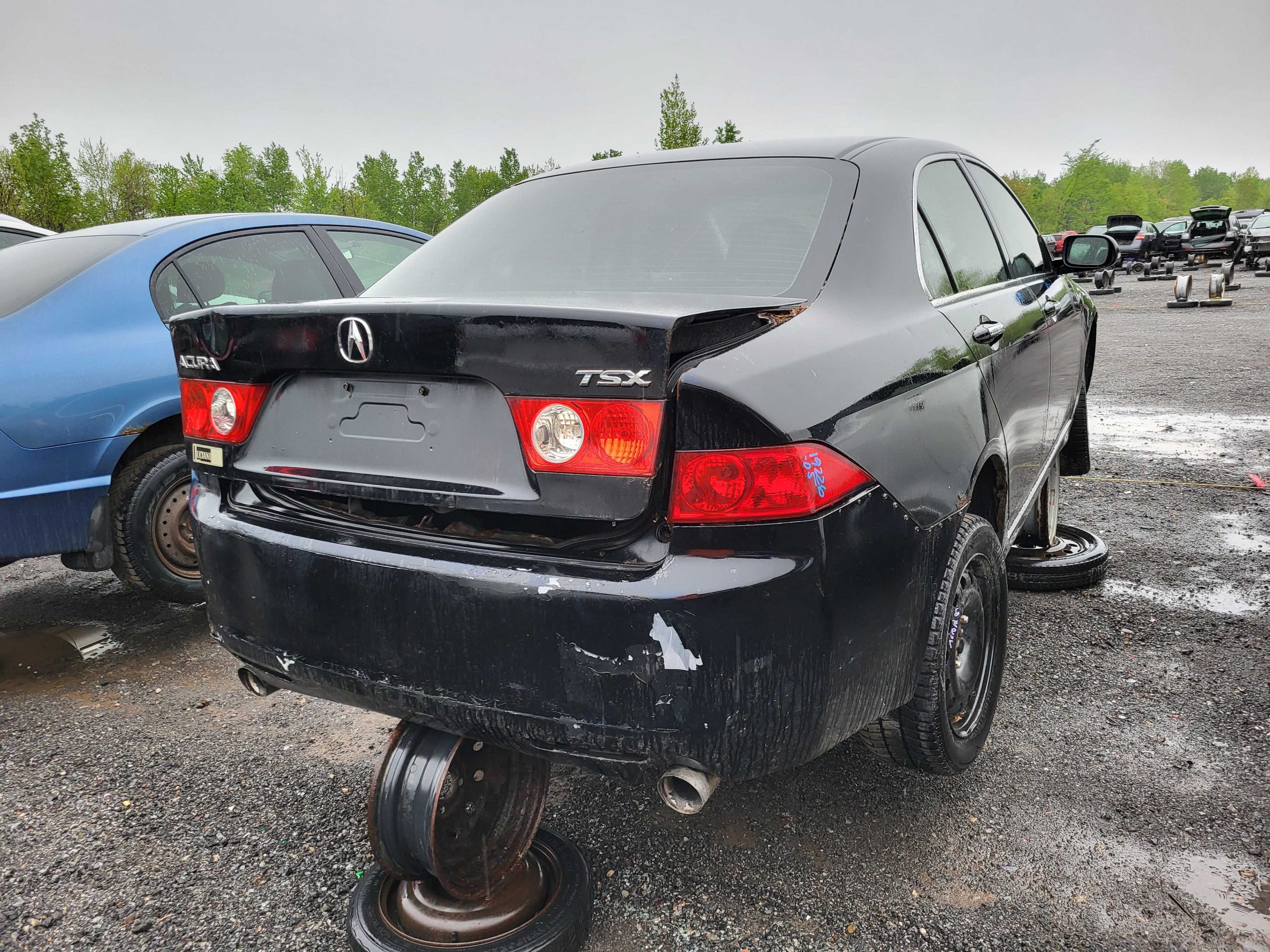 ACURA TSX 2005