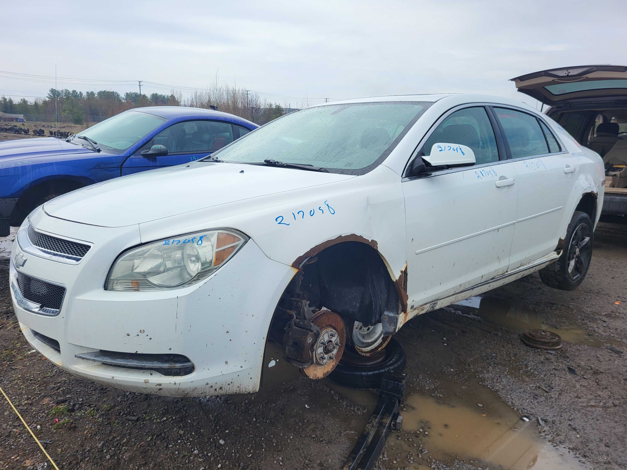 CHEVROLET MALIBU 2009