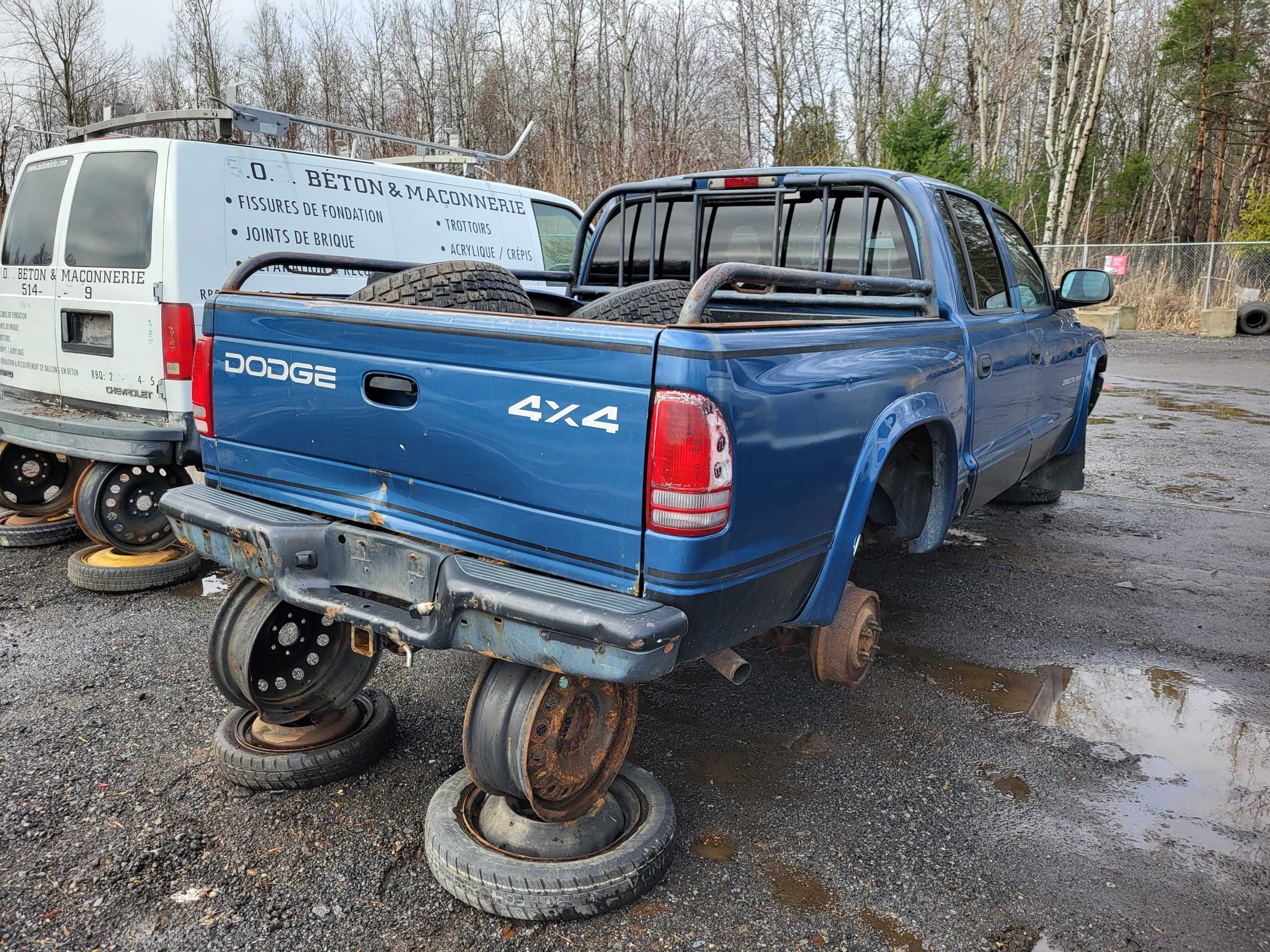 DODGE DAKOTA 2002