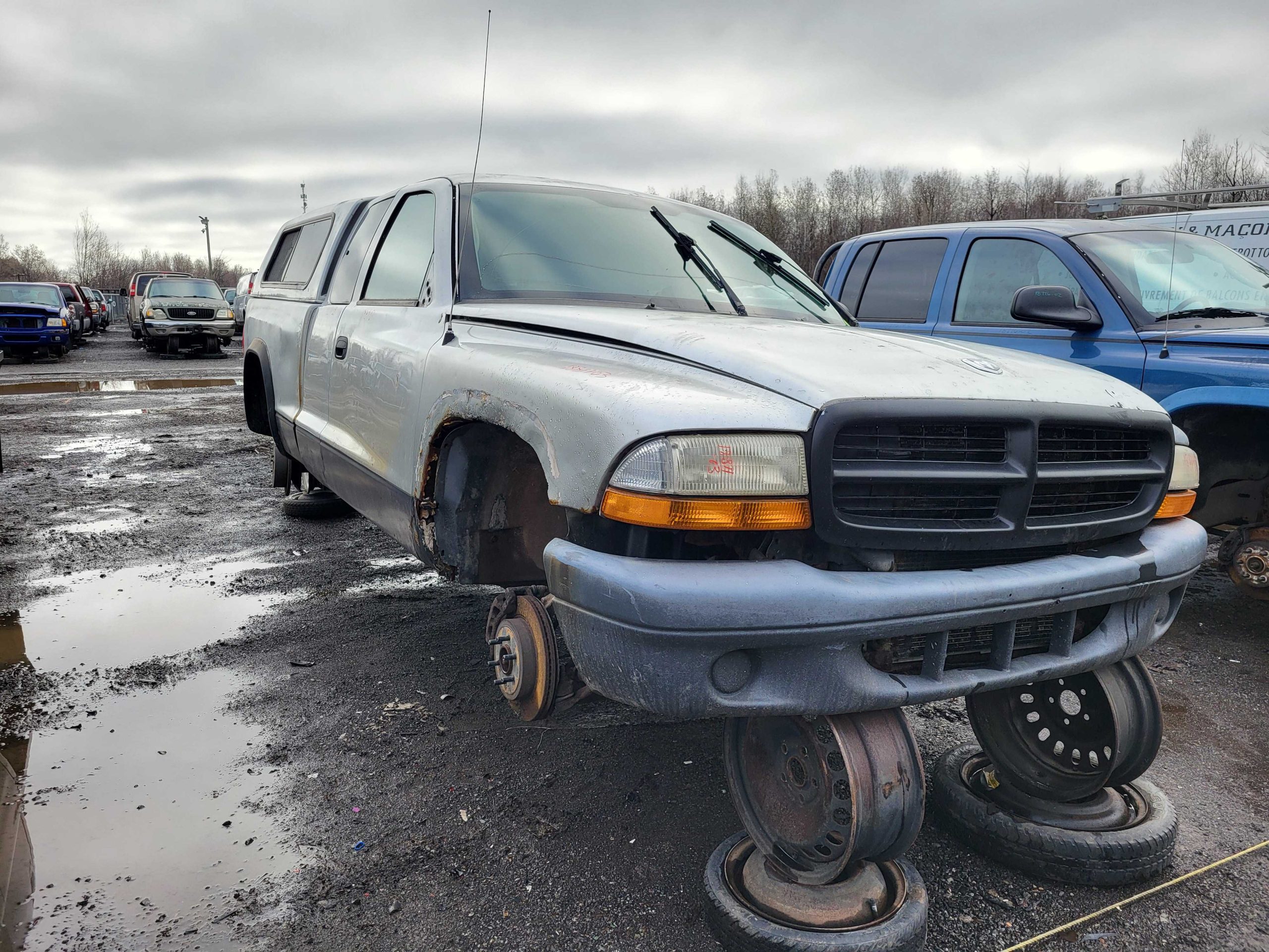 DODGE DAKOTA 2003