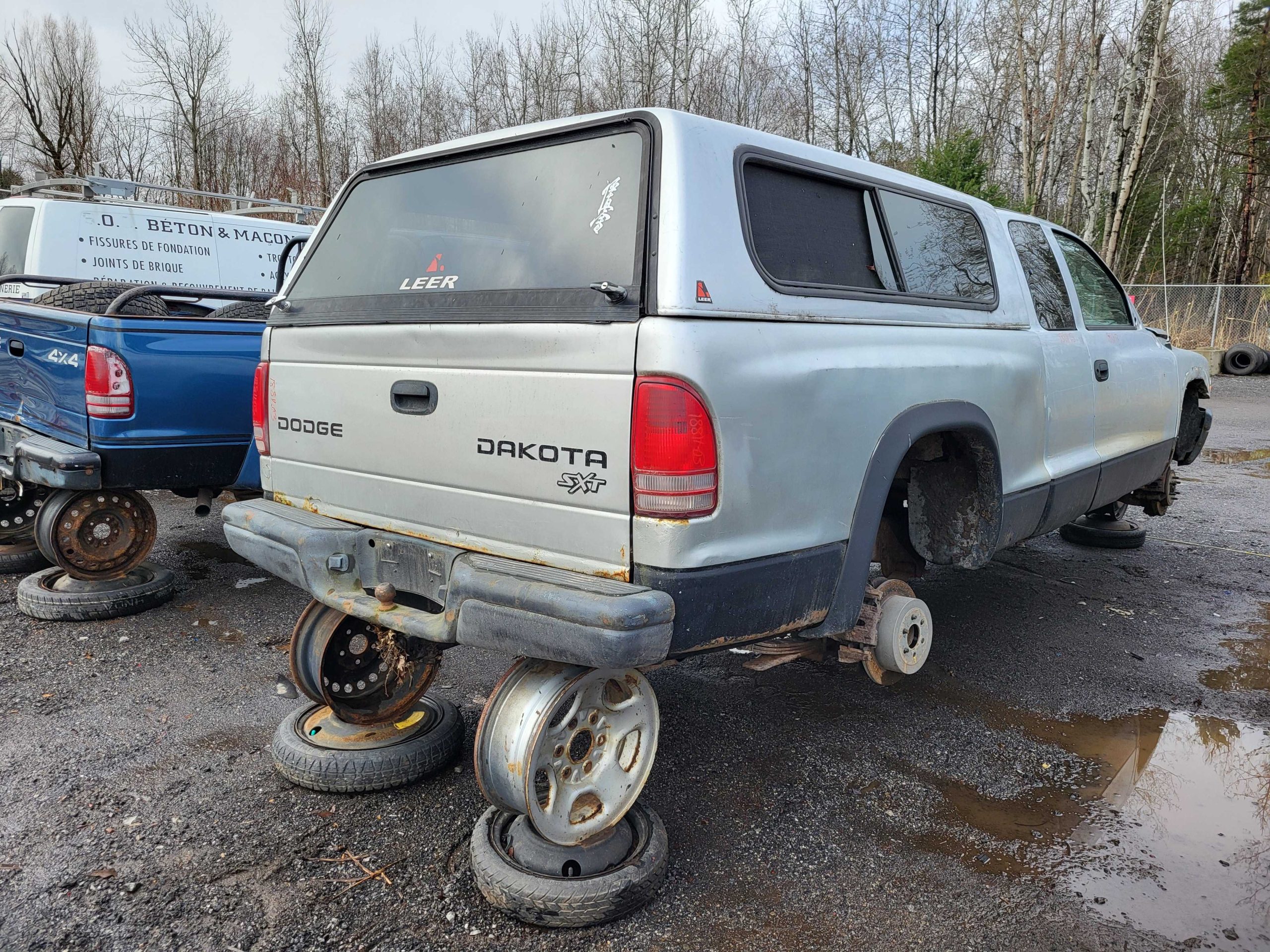 DODGE DAKOTA 2003