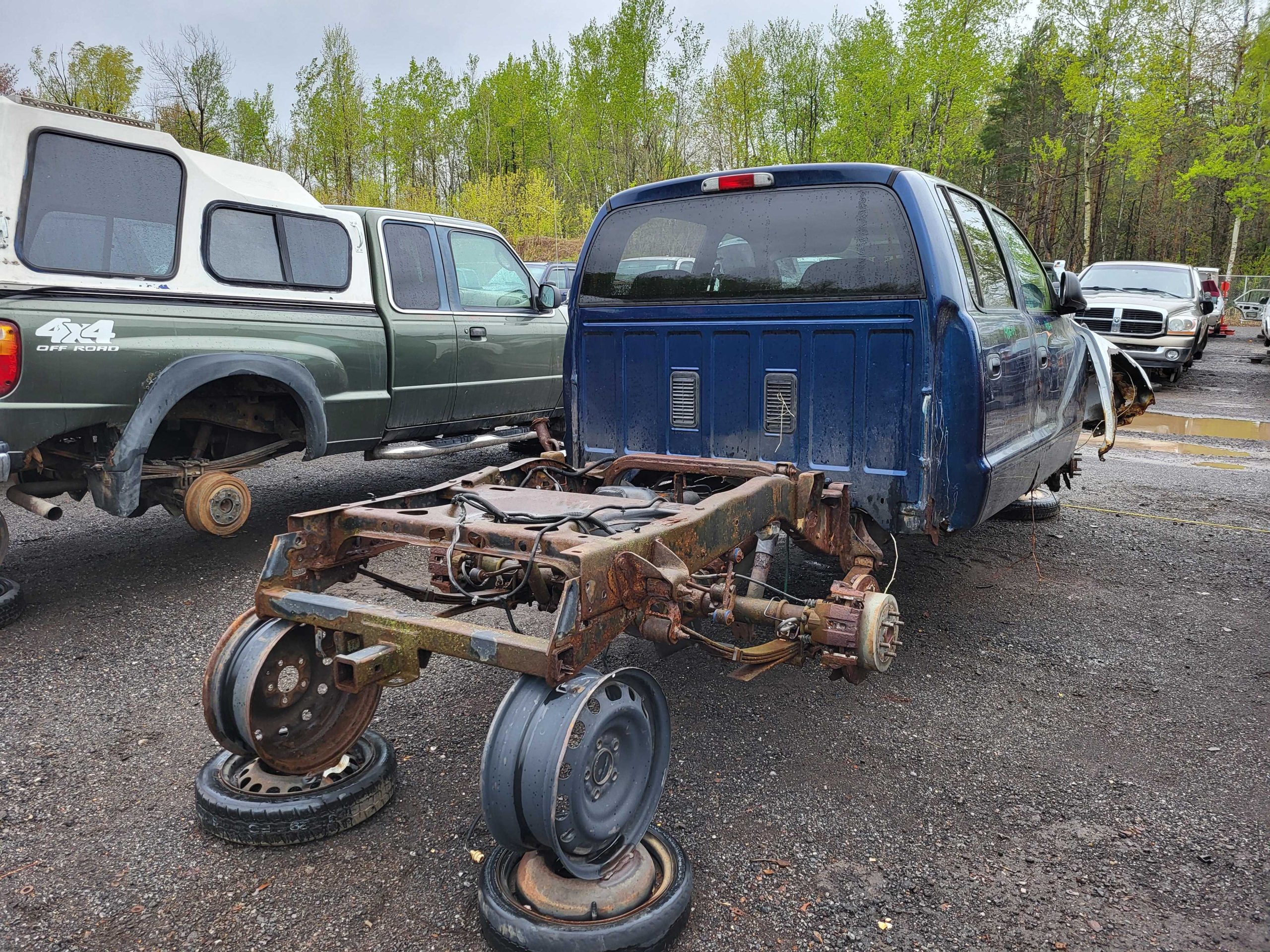 DODGE DAKOTA 2004