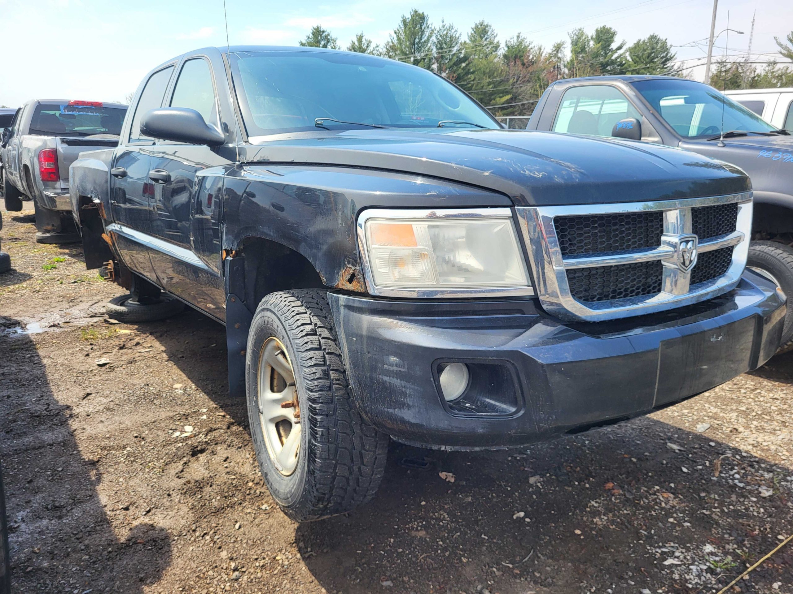 DODGE DAKOTA 2008