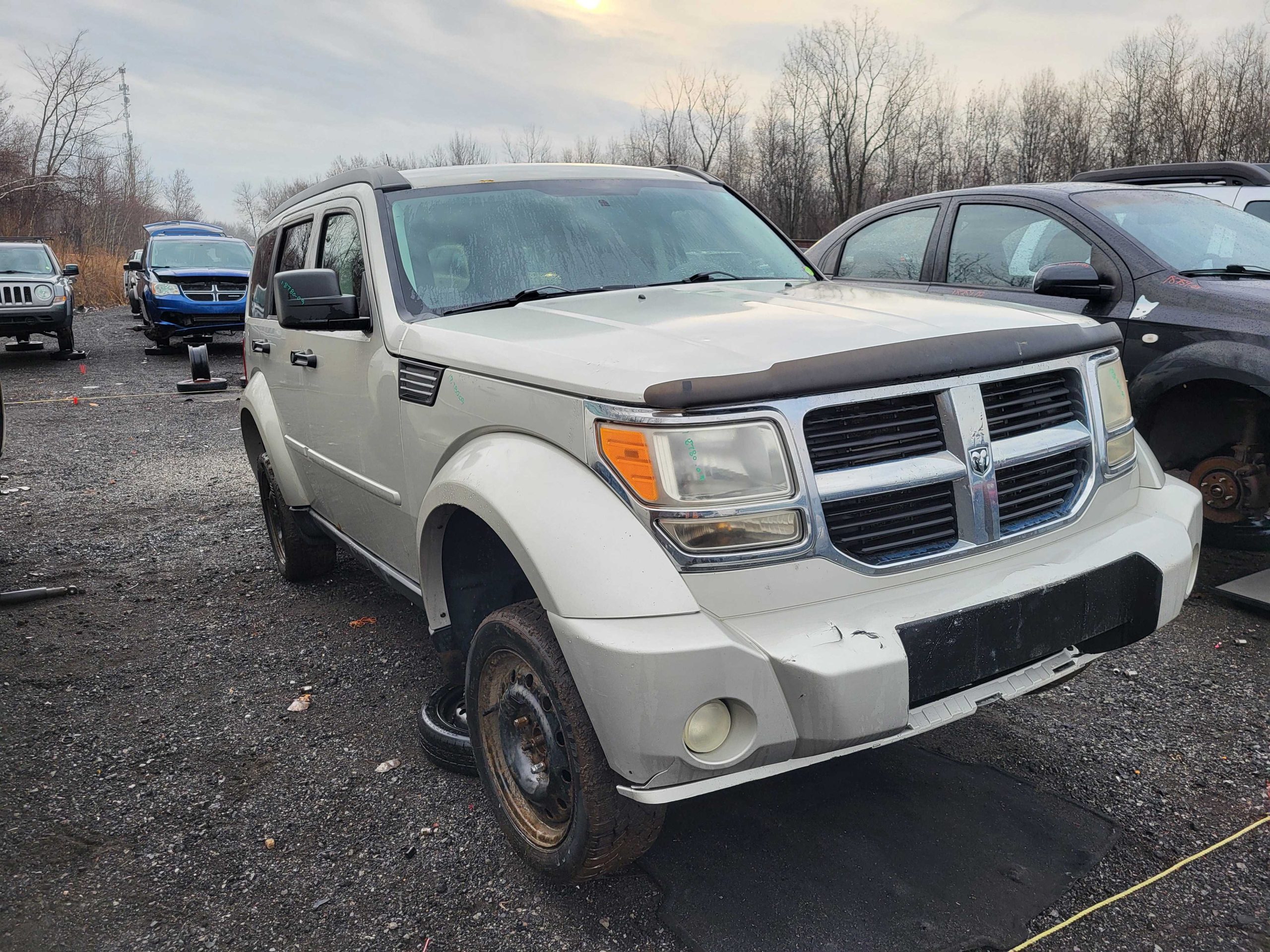 DODGE NITRO 2009