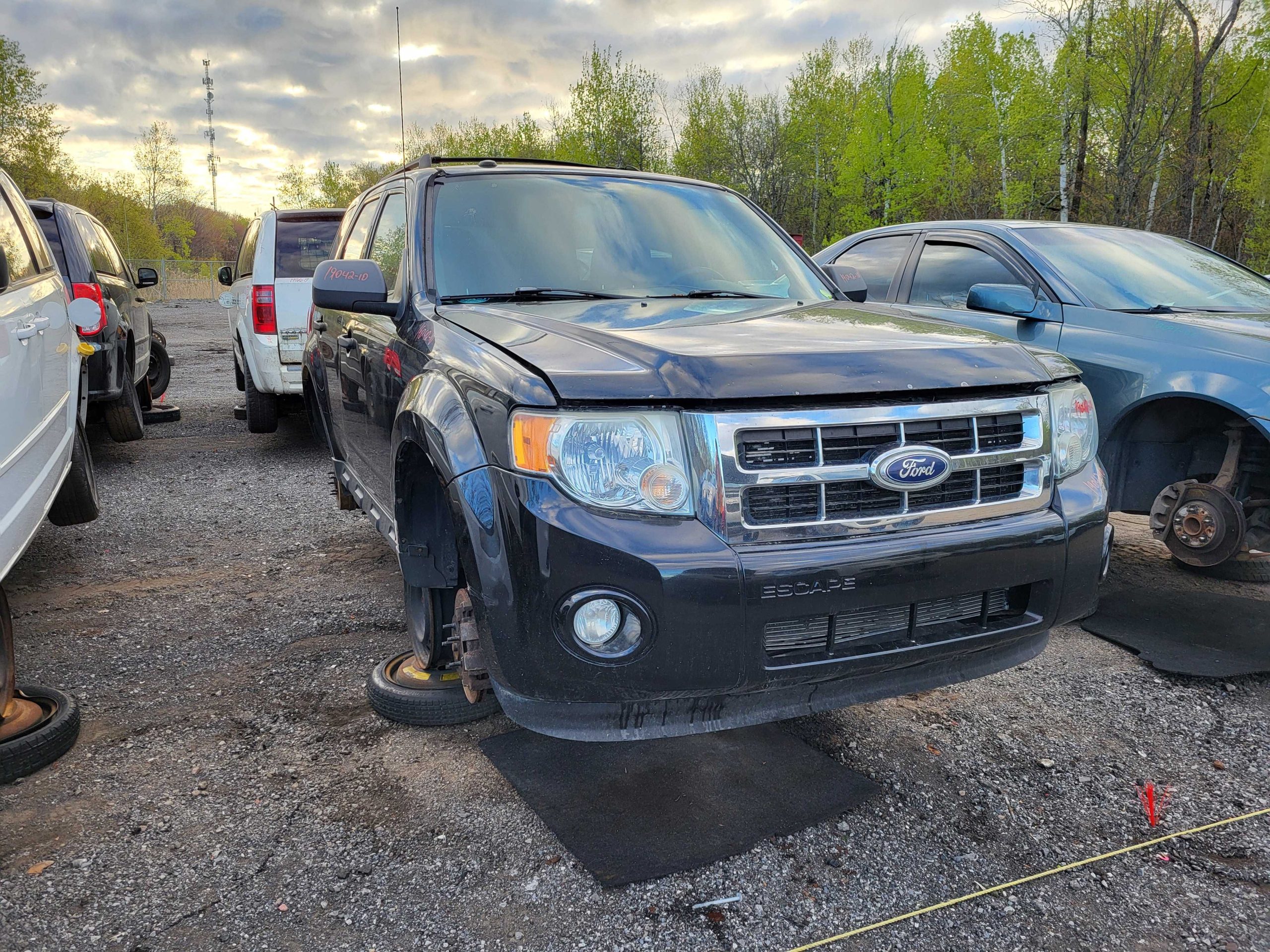 FORD ESCAPE 2010