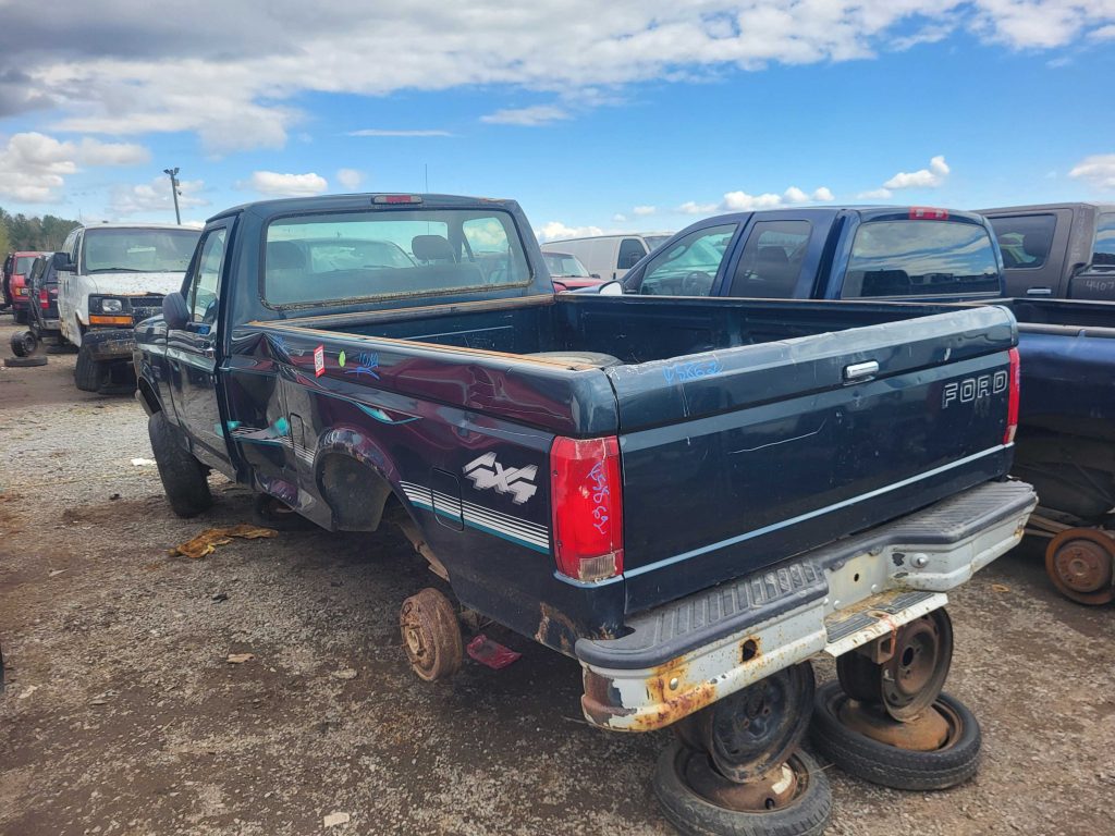 FORD F-150 1995