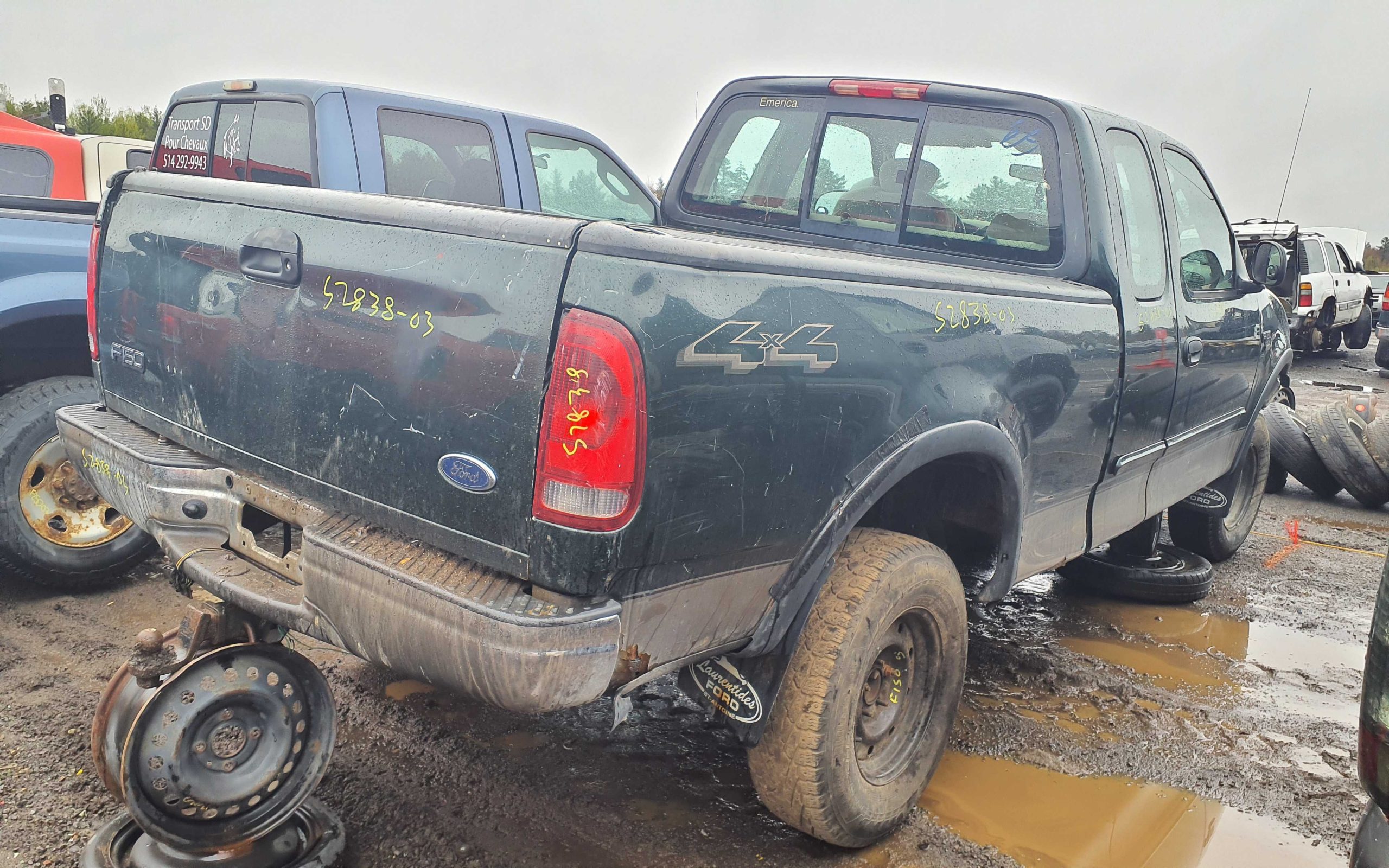 FORD F-150 2003