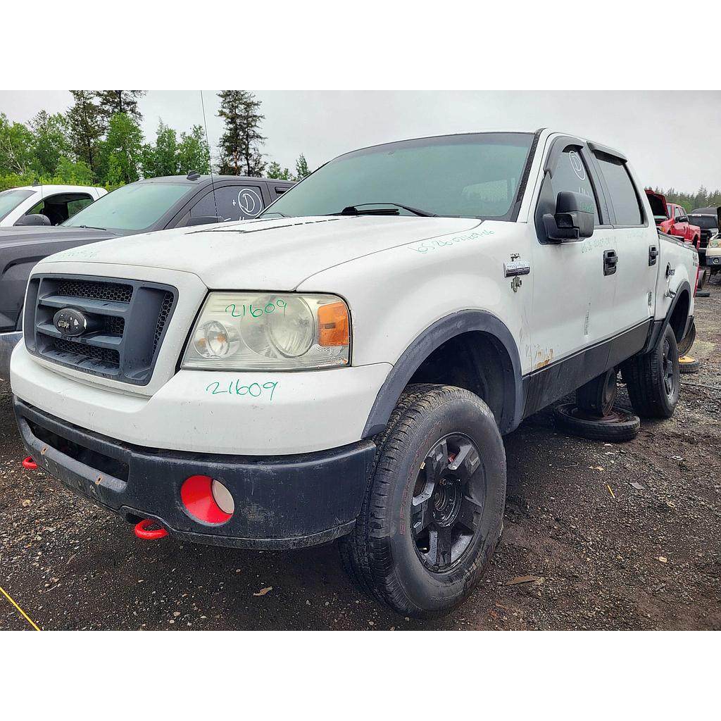 FORD F-150 2006