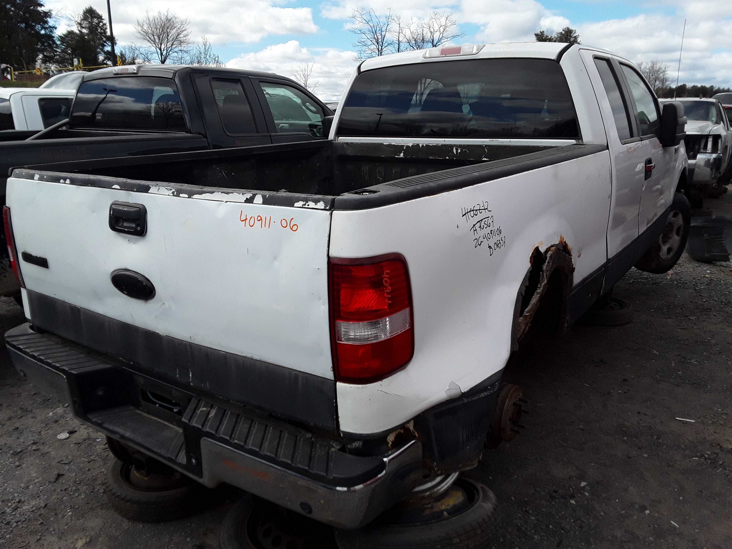 FORD F-150 2006