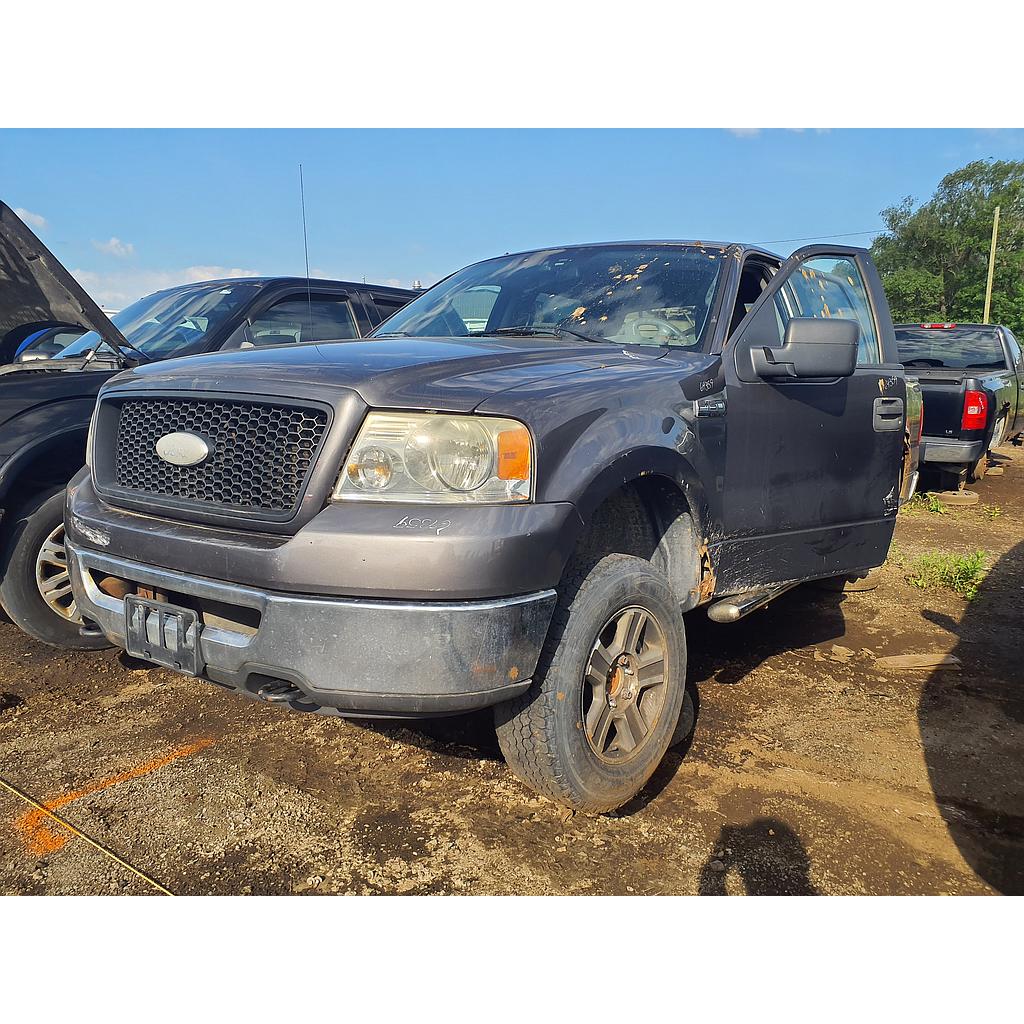 FORD F-150 2006