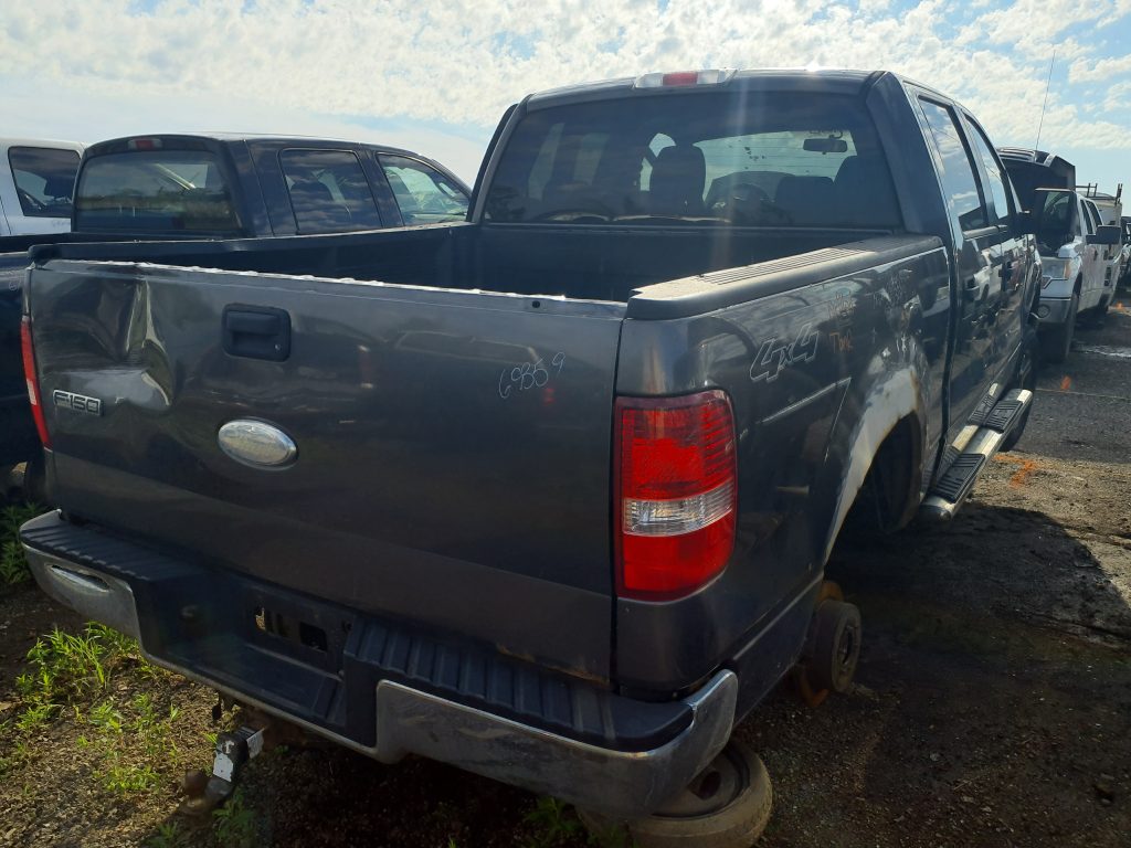 FORD F-150 2006