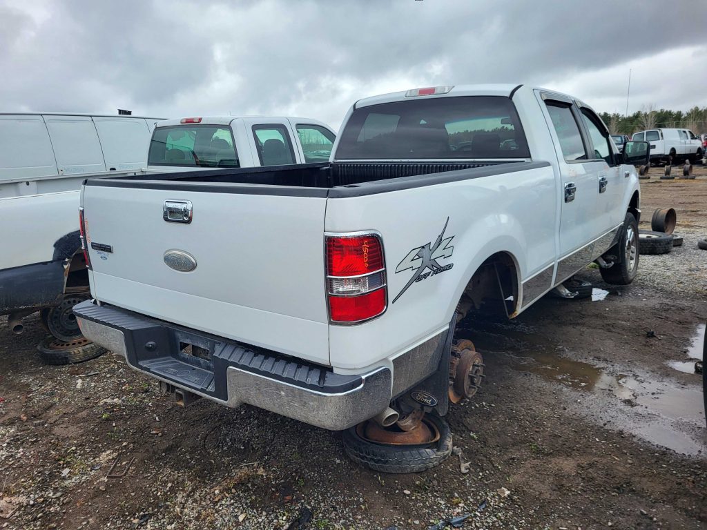 FORD F-150 2007