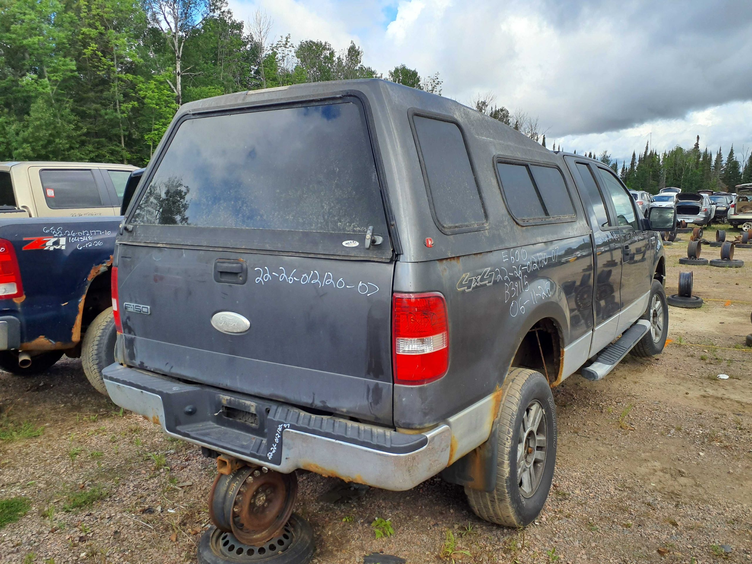 FORD F-150 2007