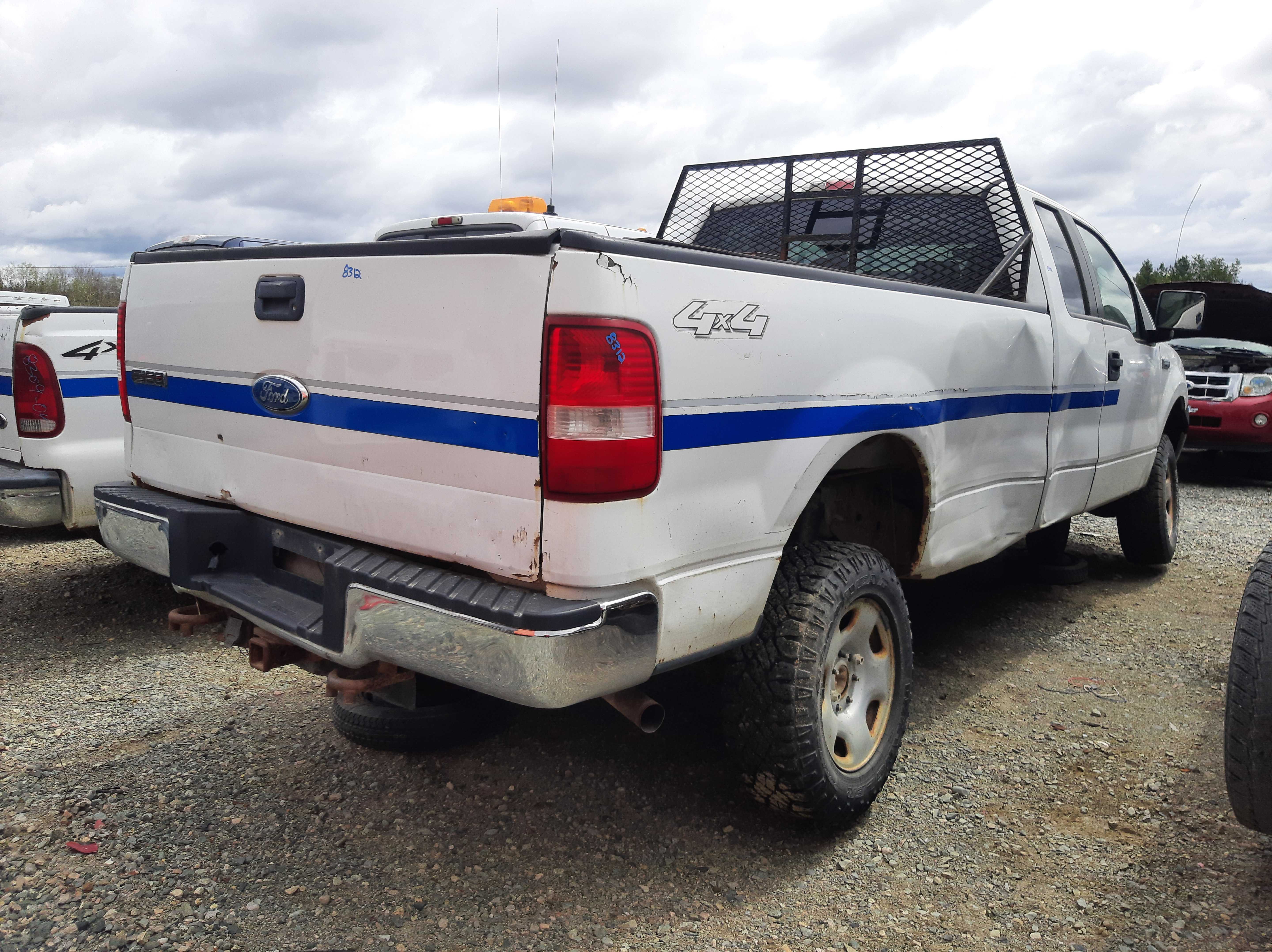 FORD F-150 2007