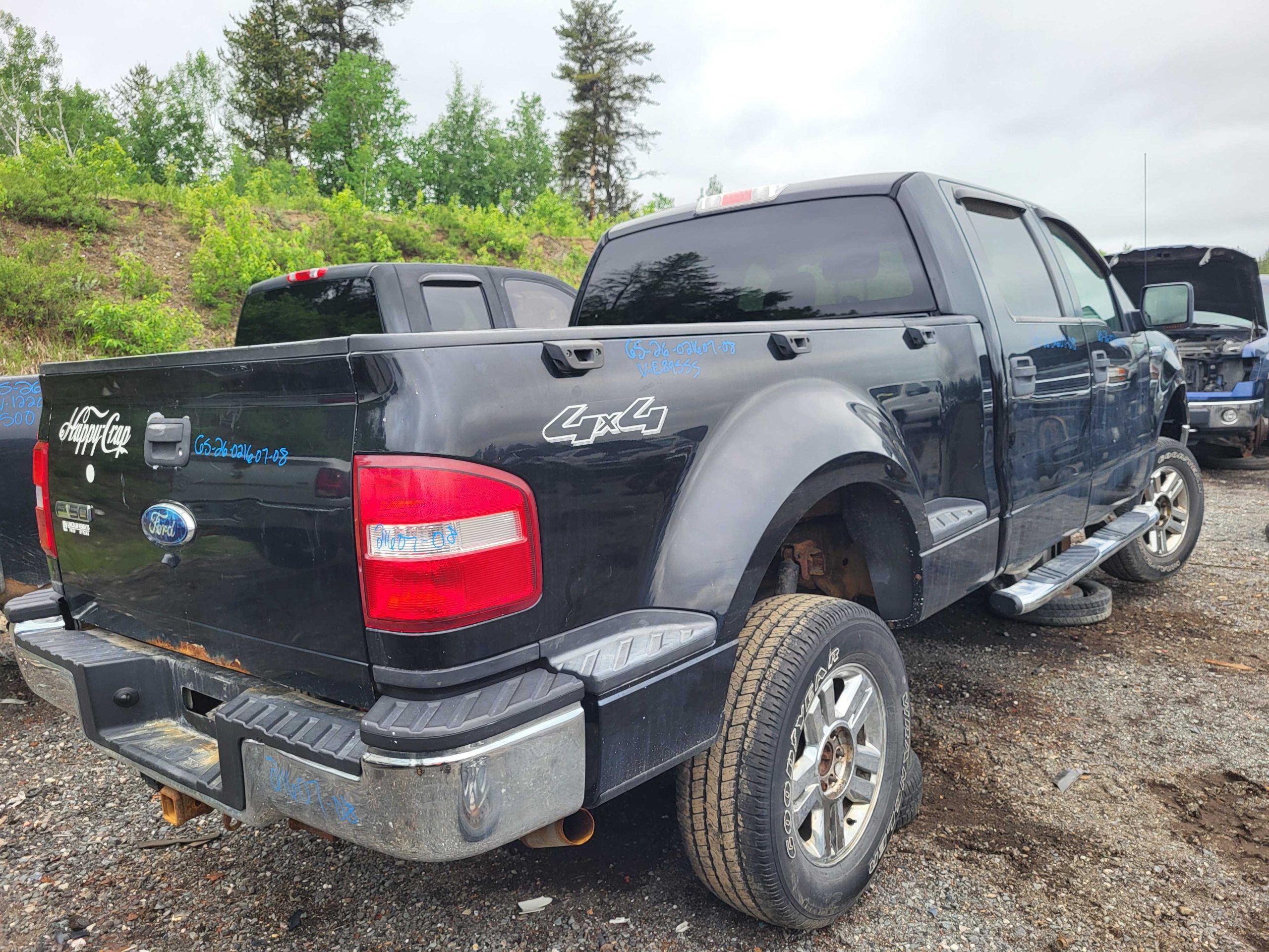 FORD F-150 2008