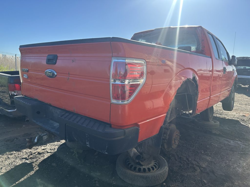 FORD F-150 2009