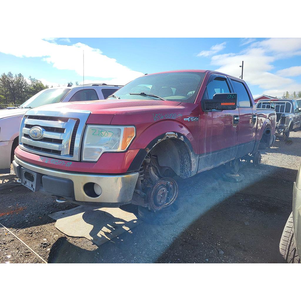 FORD F-150 2009