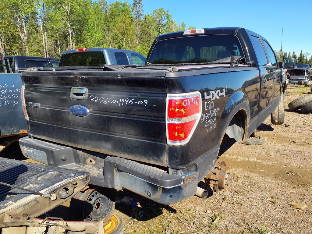 FORD F-150 2009