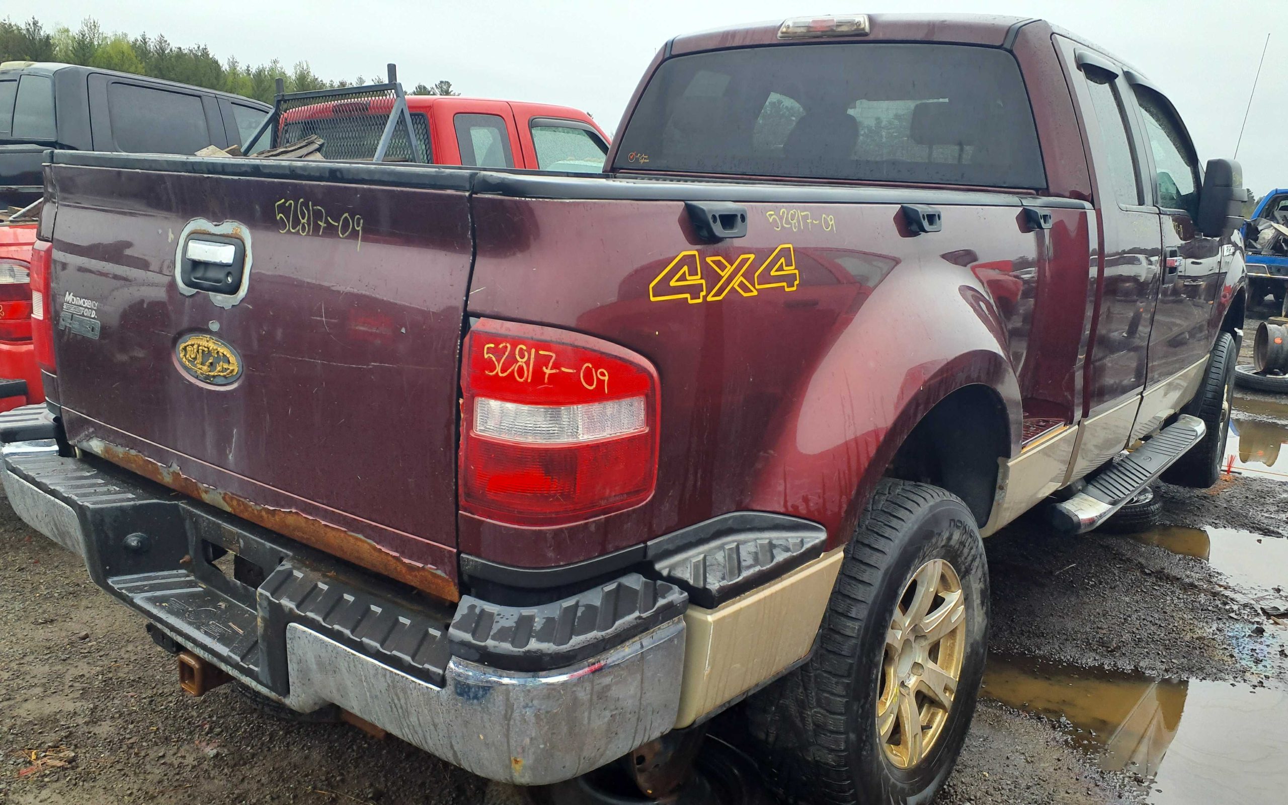 FORD F-150 2009