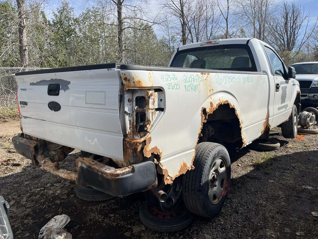 FORD F-150 2009