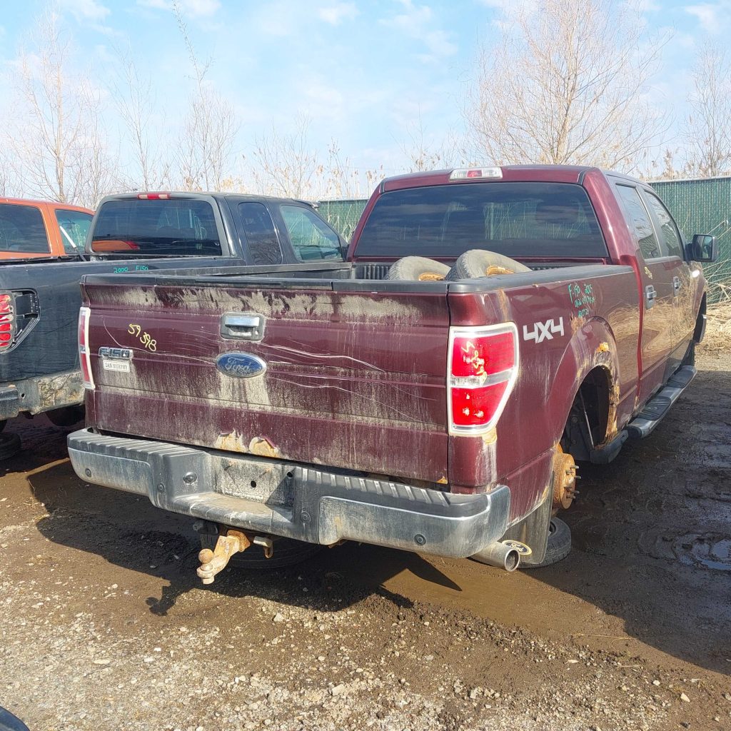 FORD F-150 2009