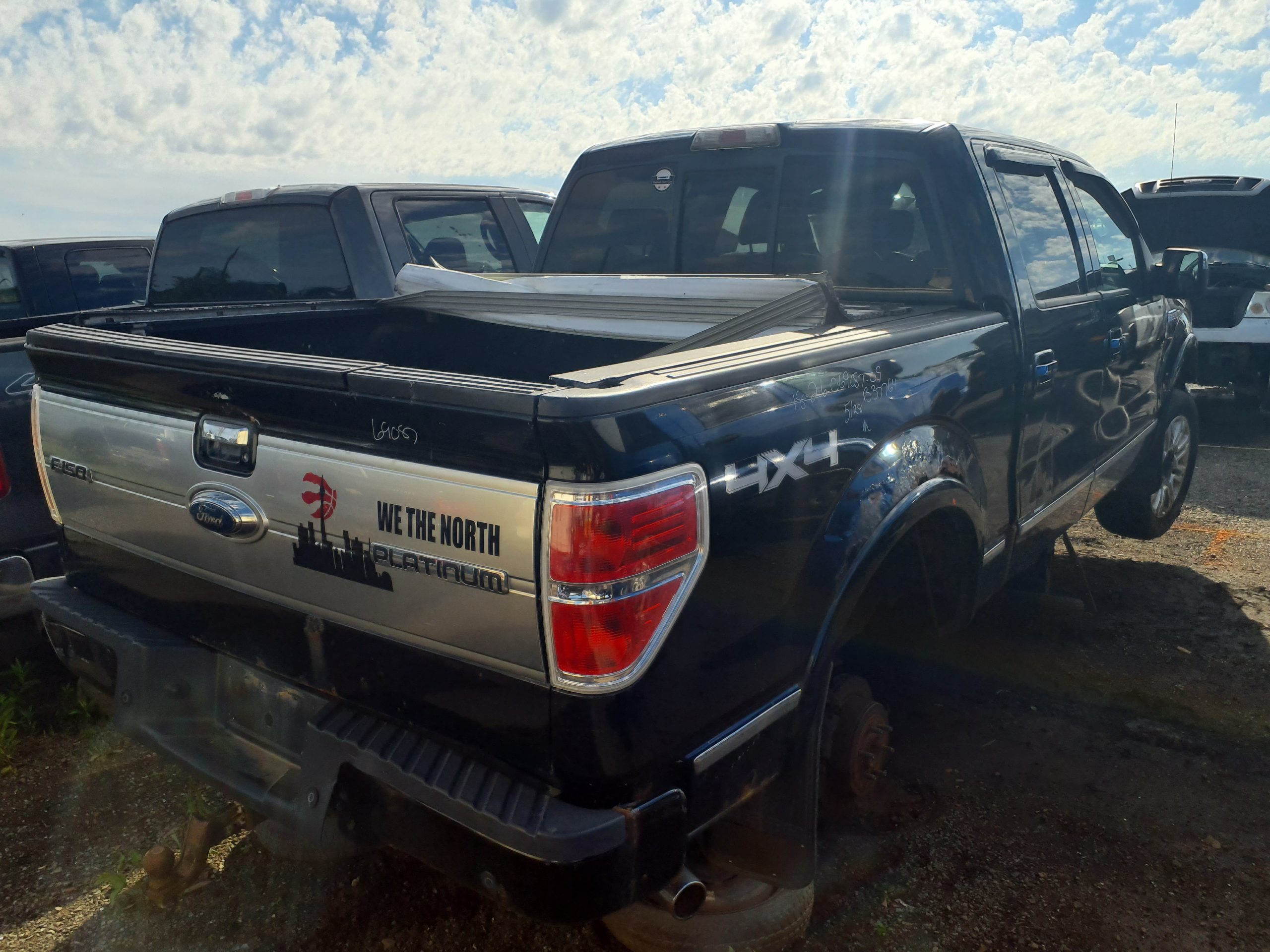FORD F-150 2009