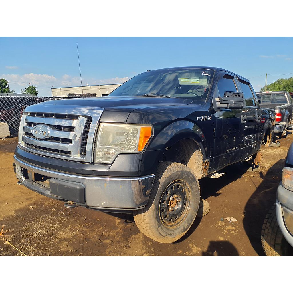 FORD F-150 2009