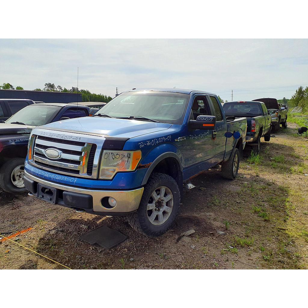 FORD F-150 2009