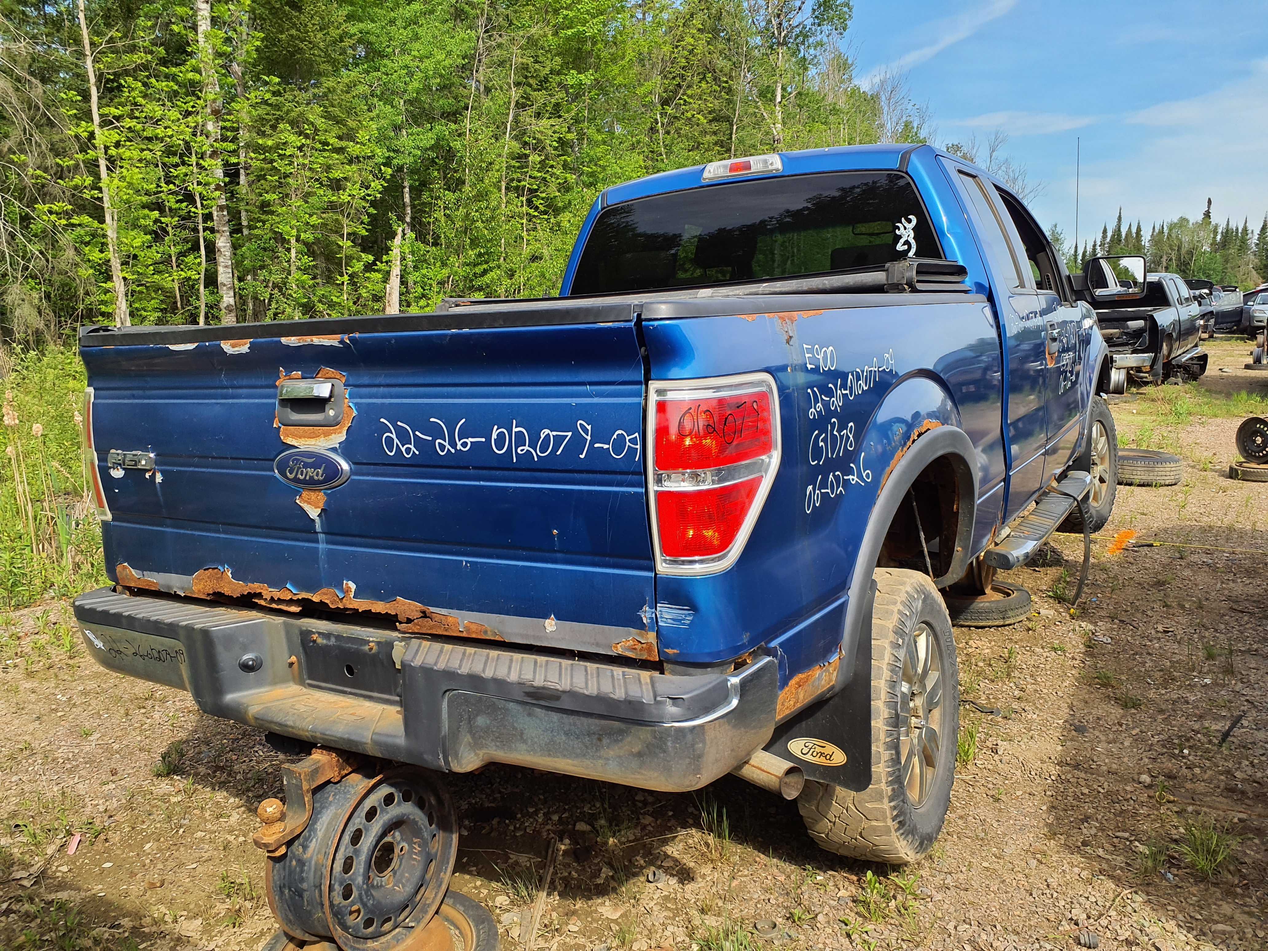 FORD F-150 2009