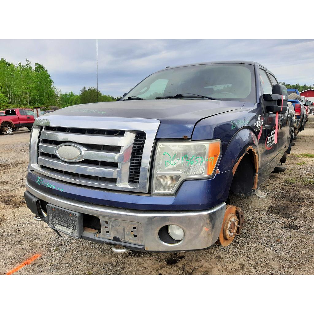 FORD F-150 2009