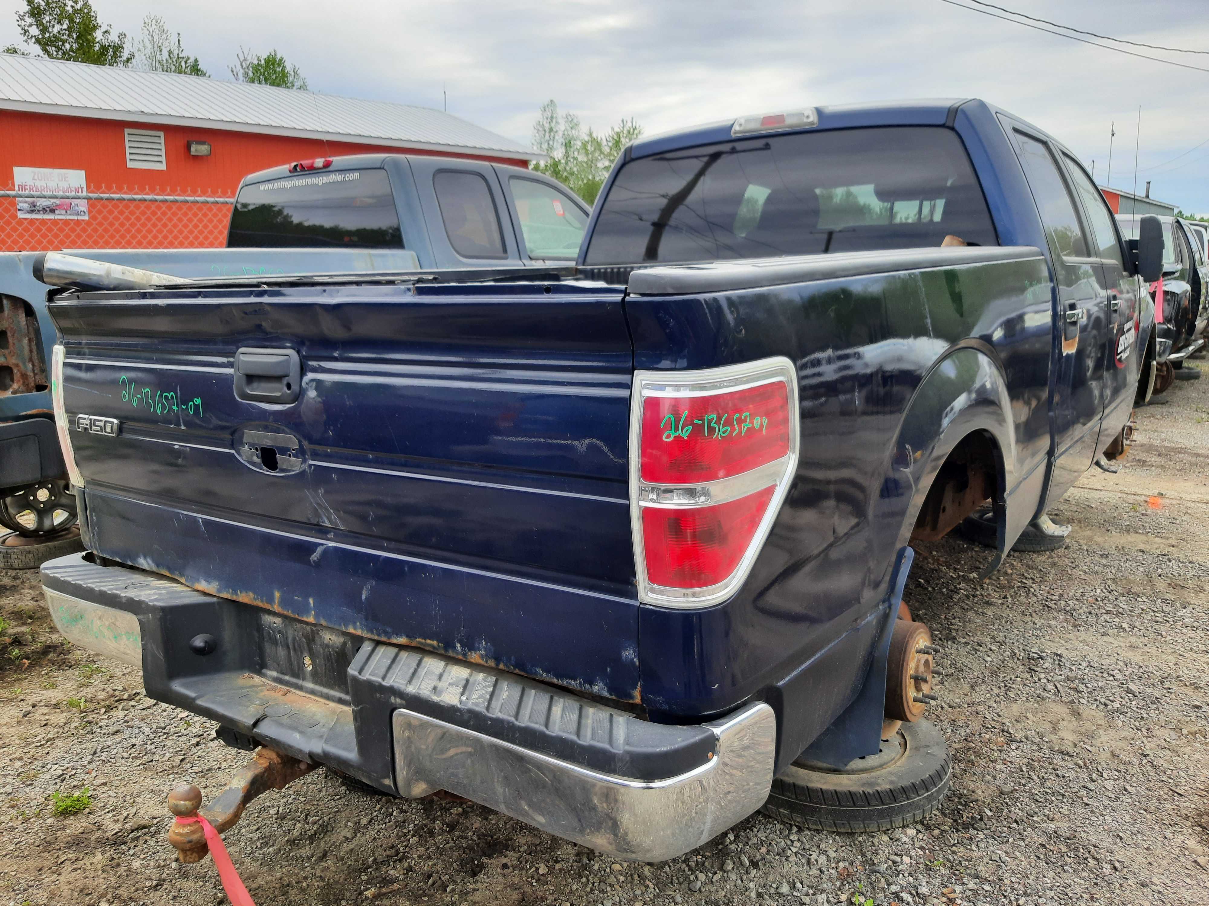 FORD F-150 2009