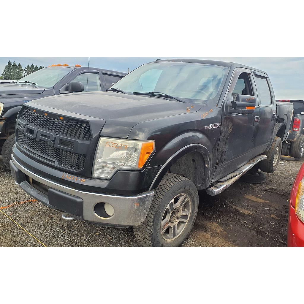 FORD F-150 2009