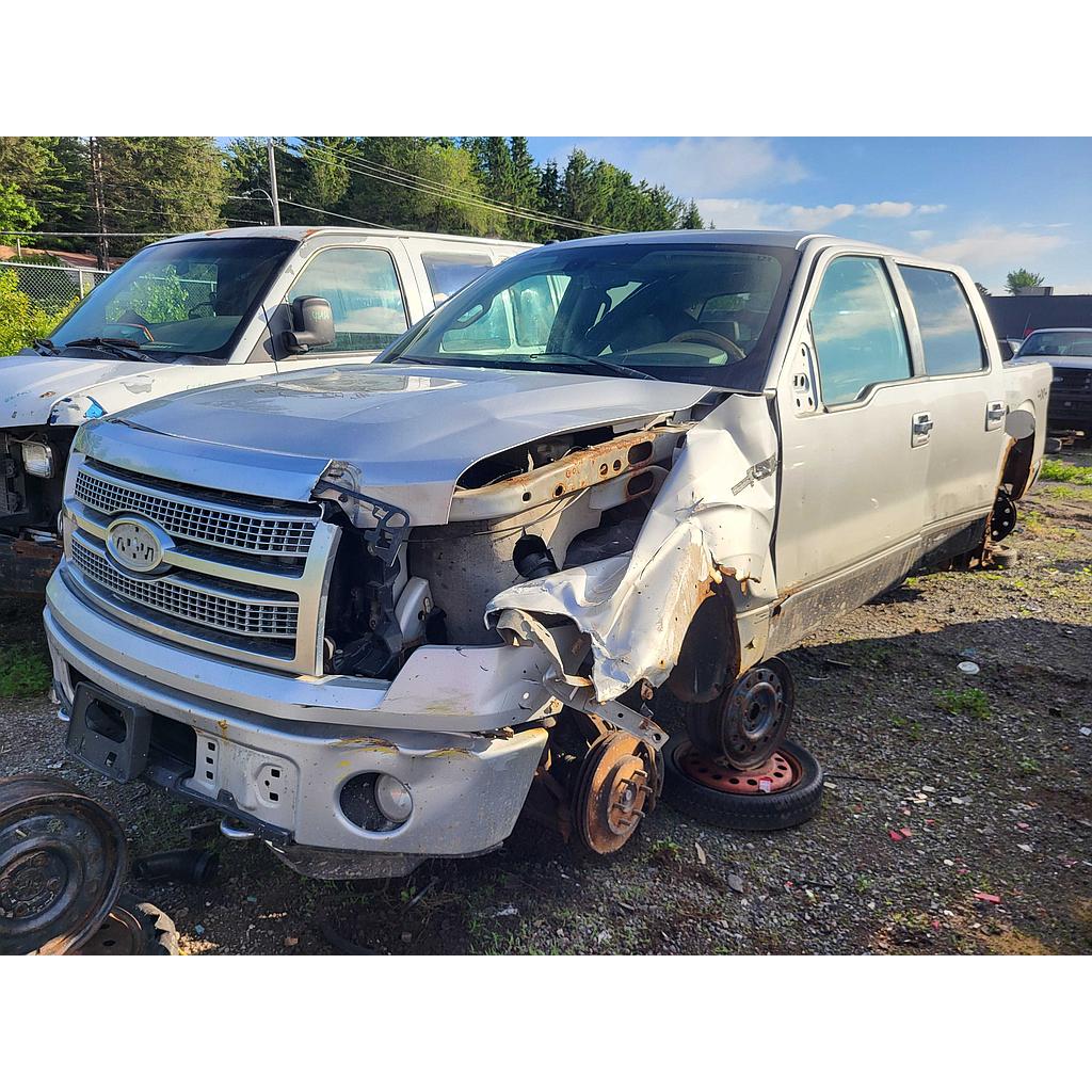 FORD F-150 2009