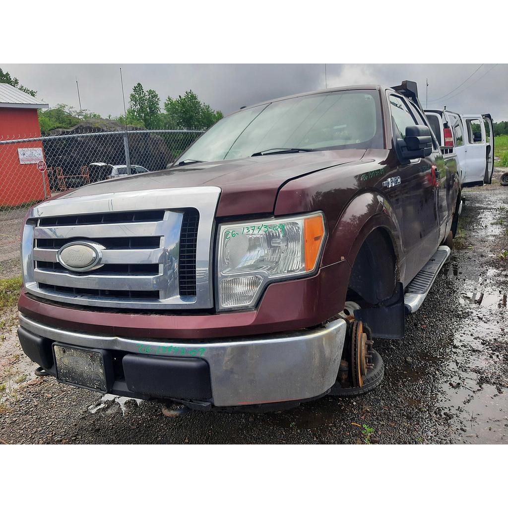 FORD F-150 2009