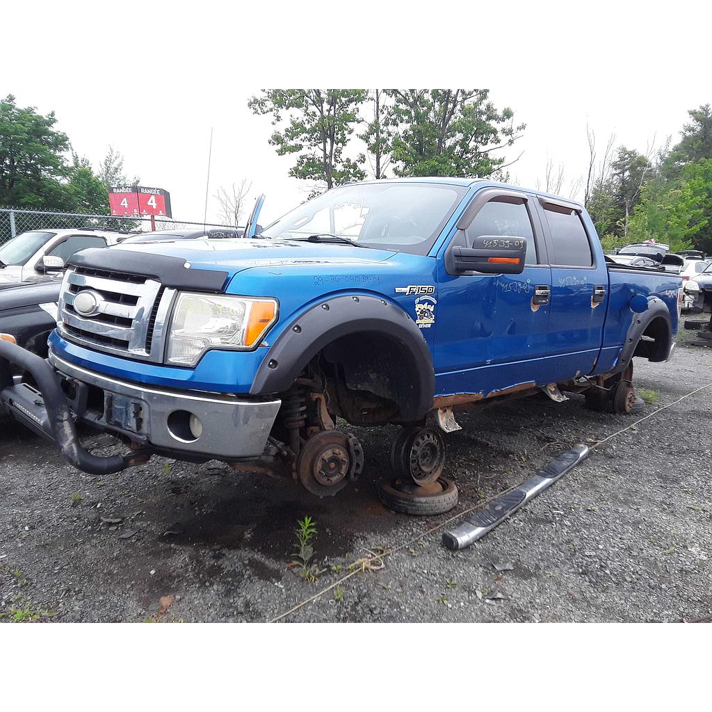 FORD F-150 2009