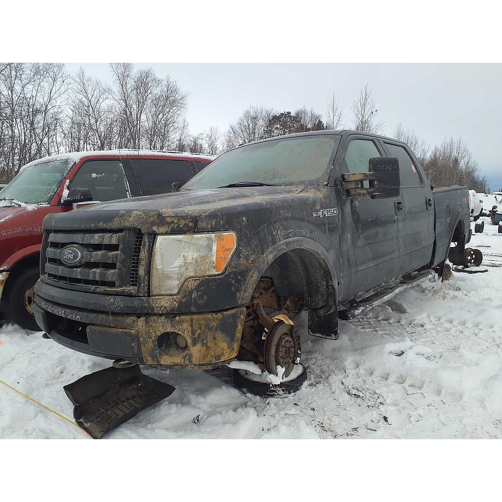 FORD F-150 2010