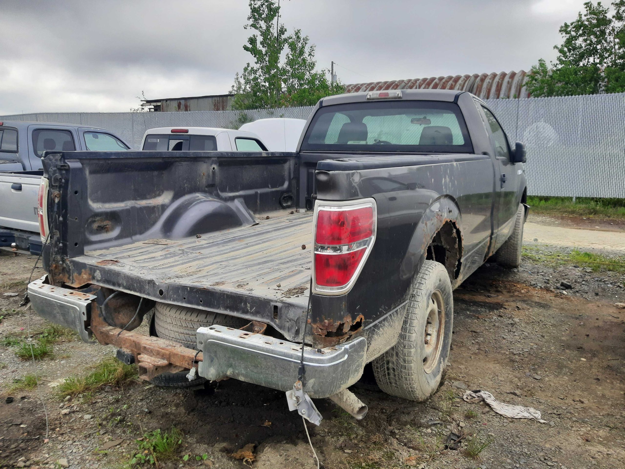 FORD F-150 2010