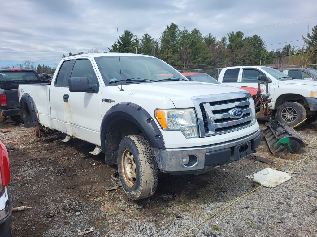 FORD F-150 2010