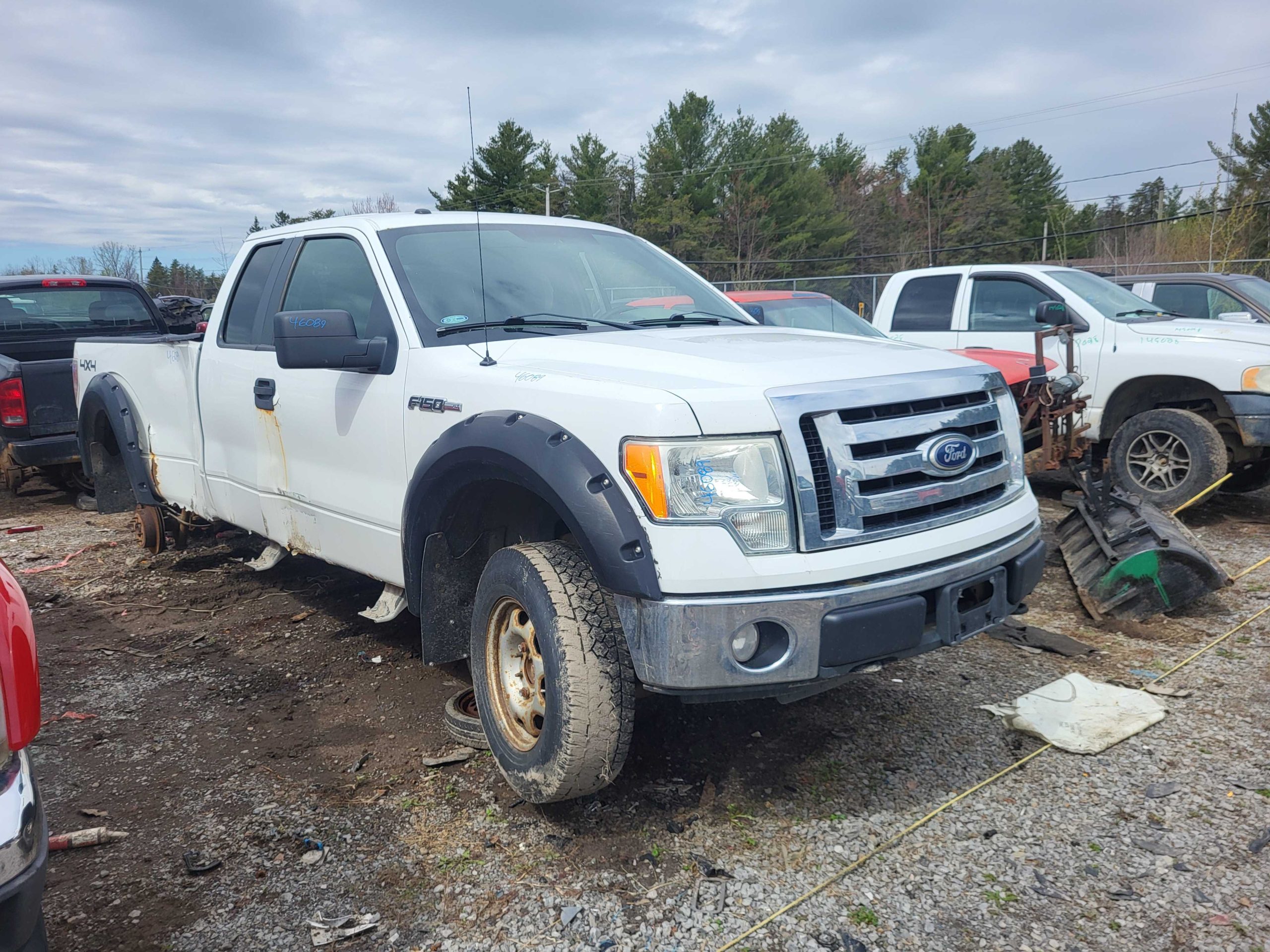 FORD F-150 2010
