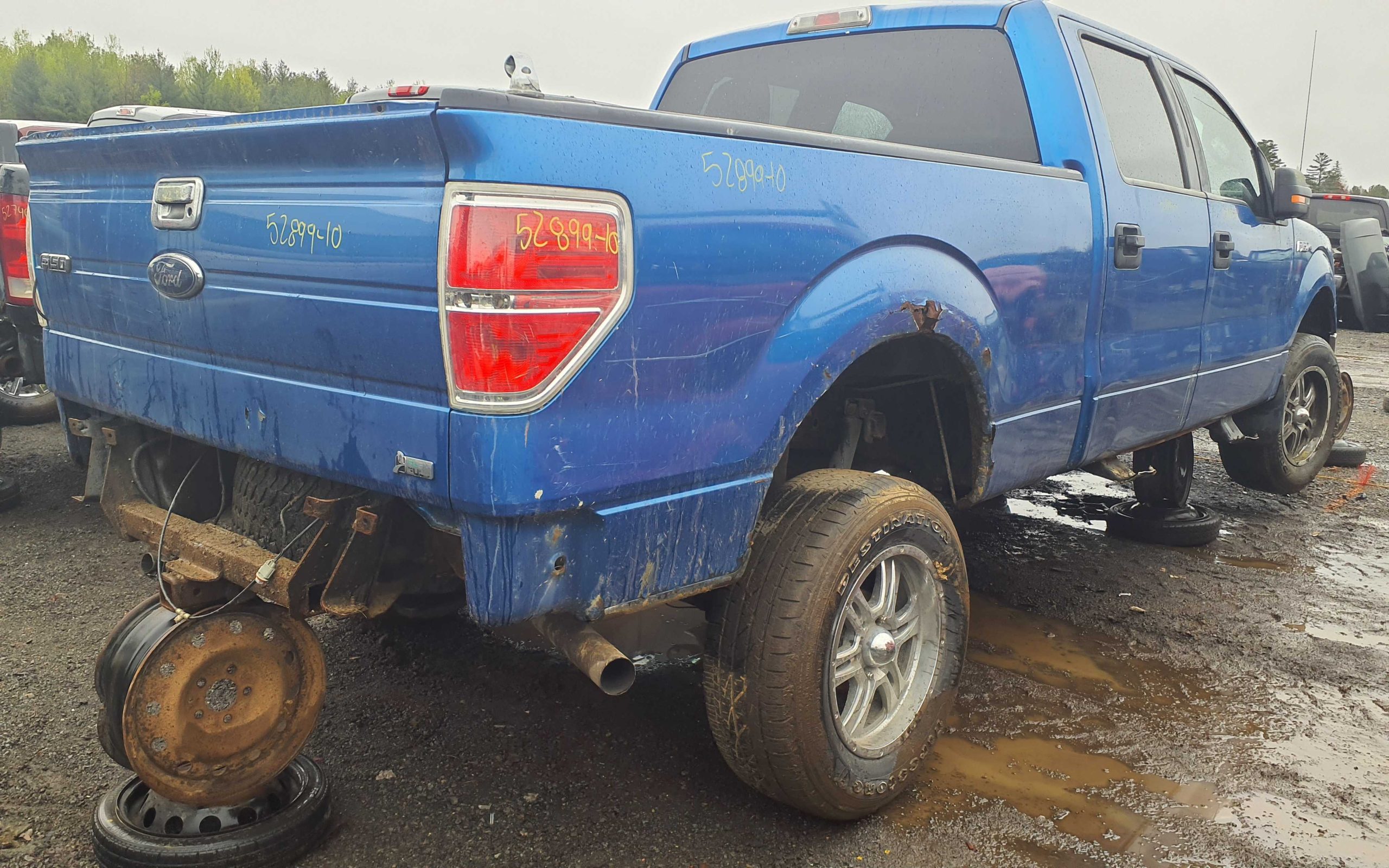 FORD F-150 2010