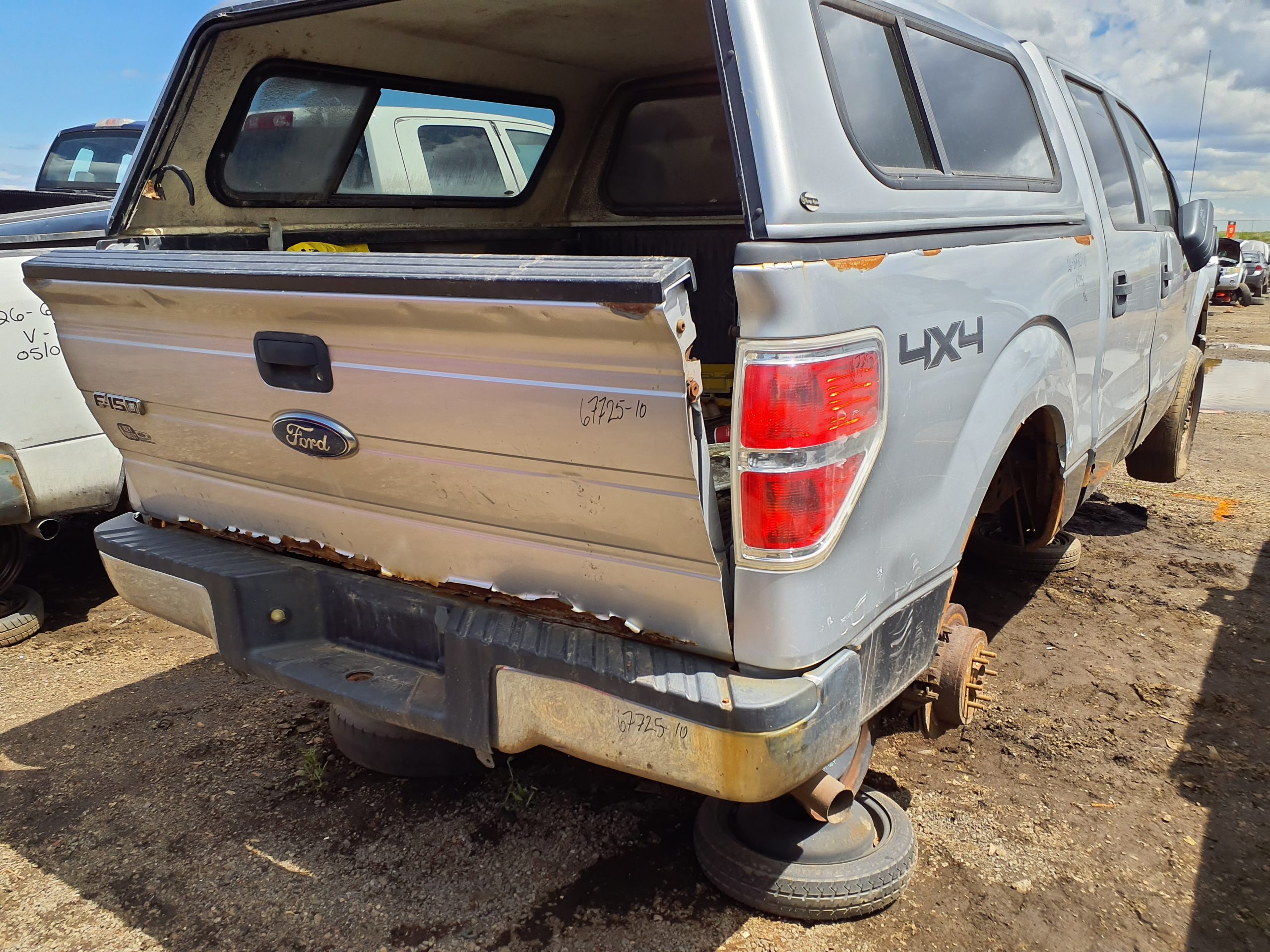 FORD F-150 2010