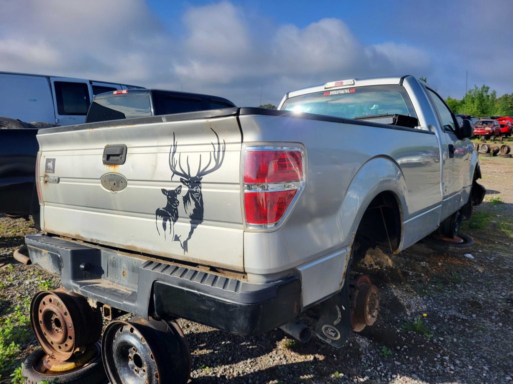FORD F-150 2010