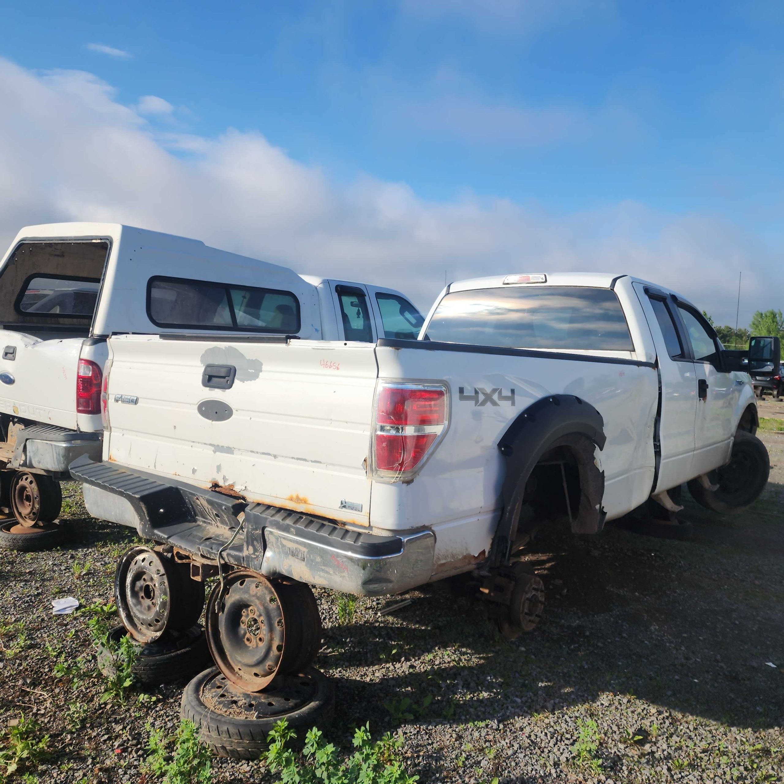 FORD F-150 2010